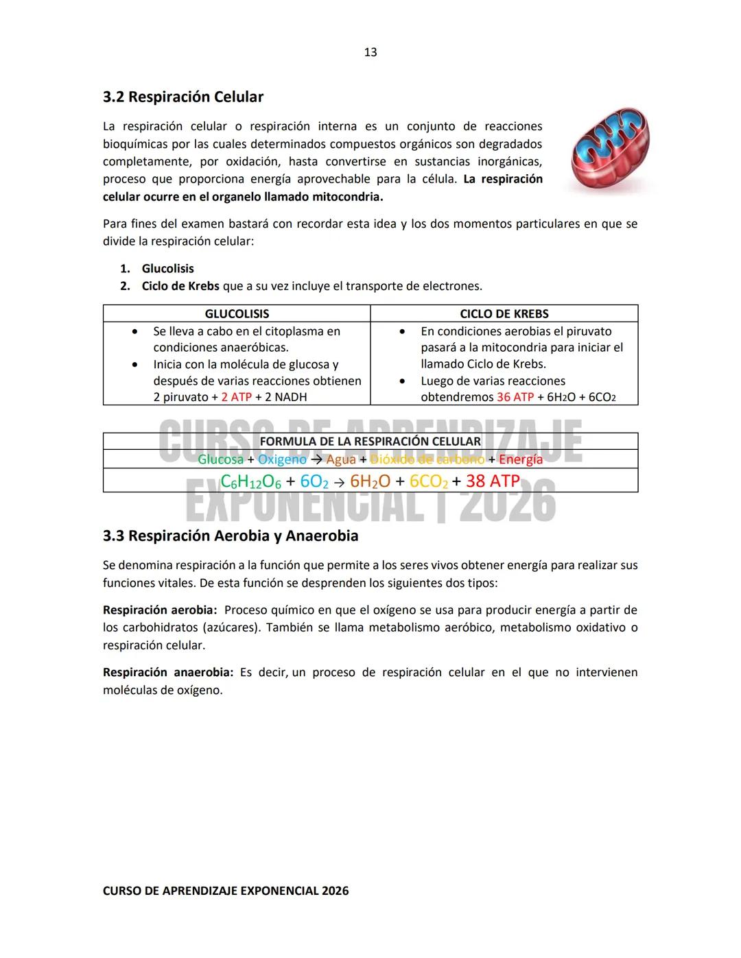 TEMARIO RESUELTO E ILUSTRADO PARA EL INGRESO A NIVEL MEDIO SUPERIOR
PRE-
ECOEMS
2026
CURSO DE APRENDIZAJE EXPONENCIAL 2026 2
CURSO DE APR