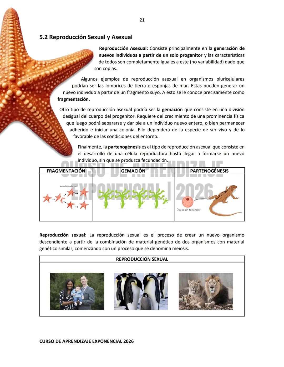 TEMARIO RESUELTO E ILUSTRADO PARA EL INGRESO A NIVEL MEDIO SUPERIOR
PRE-
ECOEMS
2026
CURSO DE APRENDIZAJE EXPONENCIAL 2026 2
CURSO DE APR