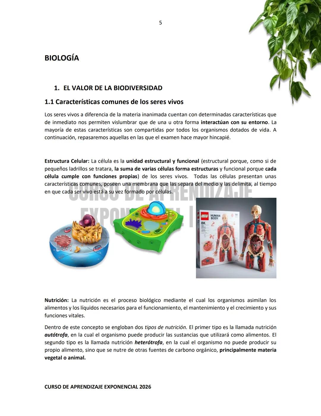 TEMARIO RESUELTO E ILUSTRADO PARA EL INGRESO A NIVEL MEDIO SUPERIOR
PRE-
ECOEMS
2026
CURSO DE APRENDIZAJE EXPONENCIAL 2026 2
CURSO DE APR