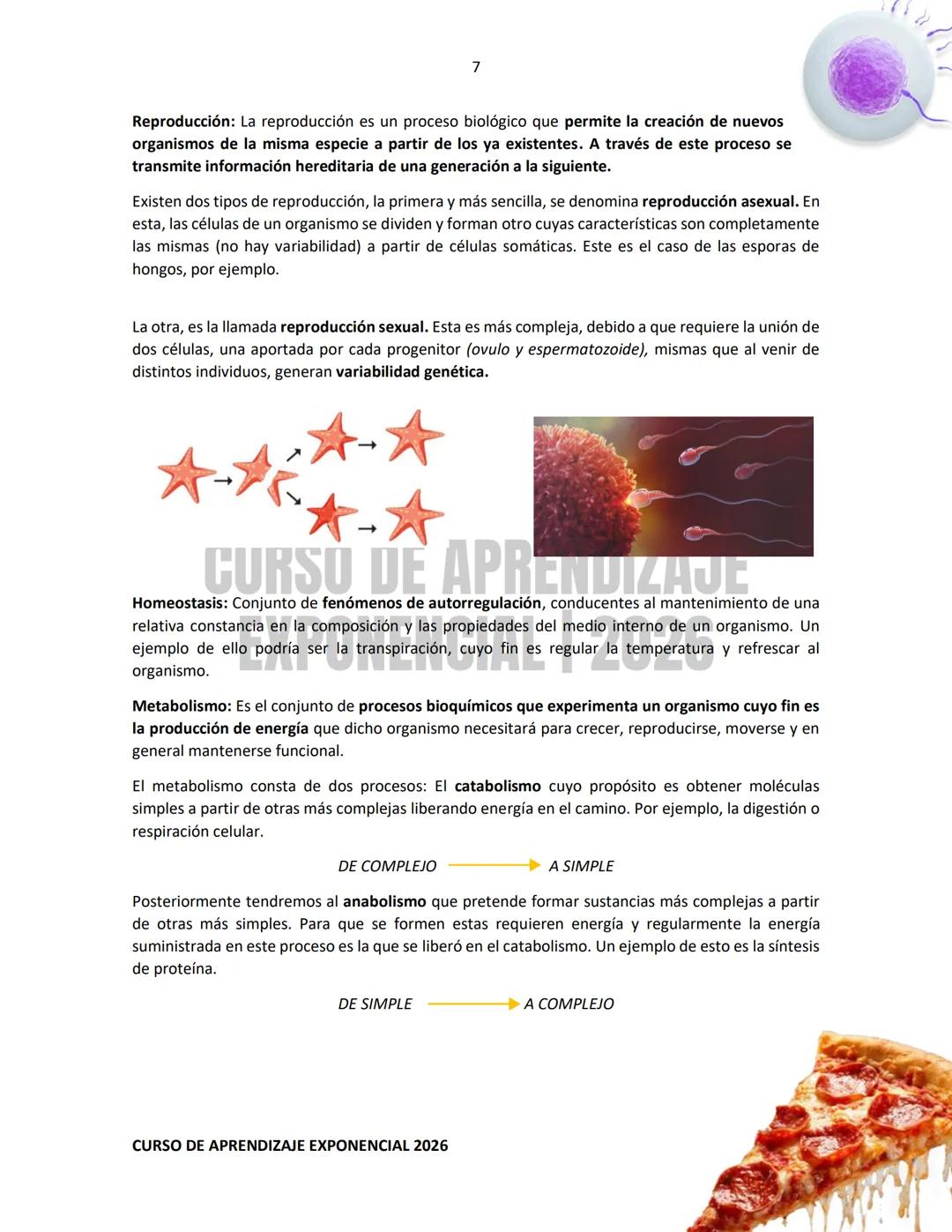 TEMARIO RESUELTO E ILUSTRADO PARA EL INGRESO A NIVEL MEDIO SUPERIOR
PRE-
ECOEMS
2026
CURSO DE APRENDIZAJE EXPONENCIAL 2026 2
CURSO DE APR