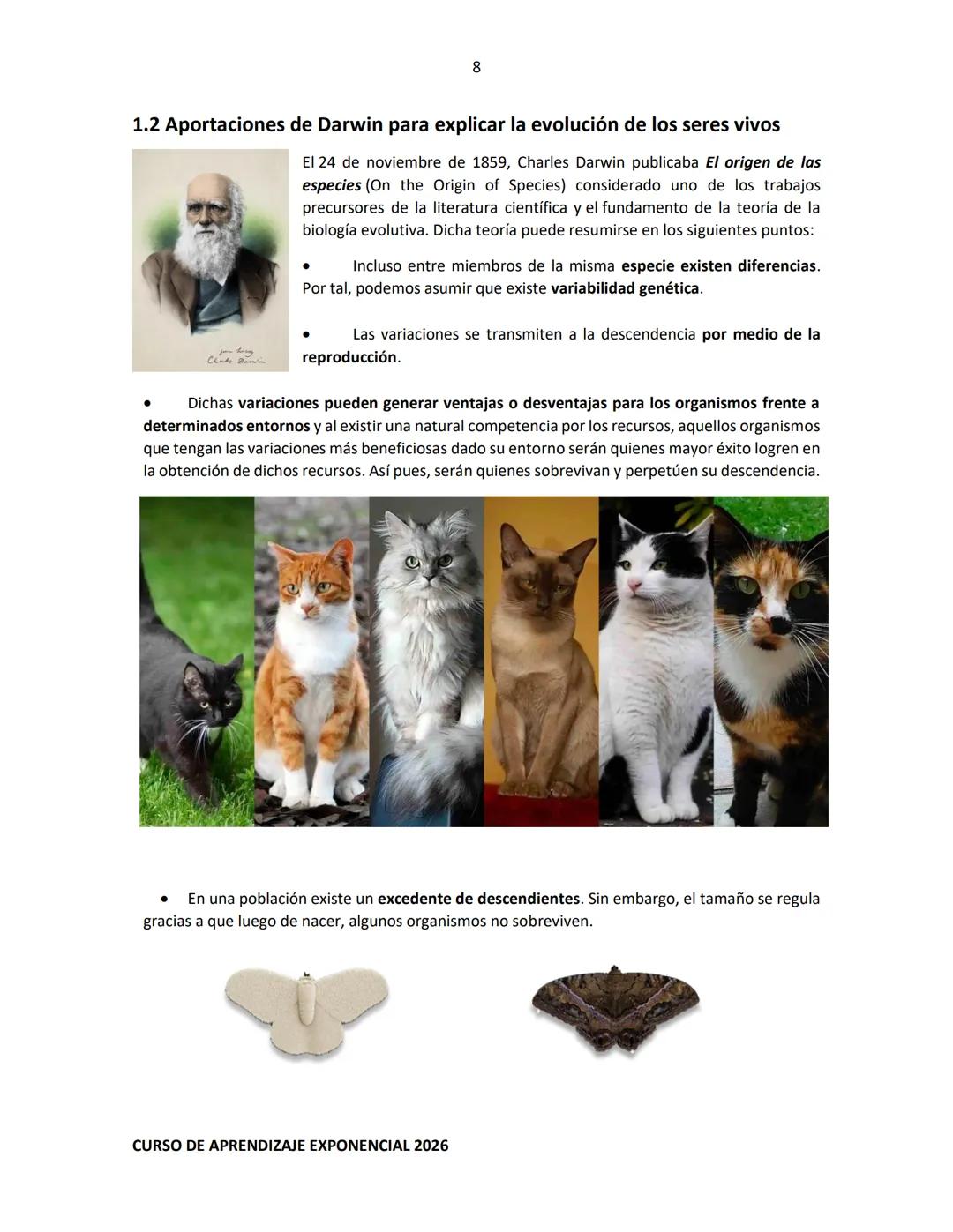 TEMARIO RESUELTO E ILUSTRADO PARA EL INGRESO A NIVEL MEDIO SUPERIOR
PRE-
ECOEMS
2026
CURSO DE APRENDIZAJE EXPONENCIAL 2026 2
CURSO DE APR