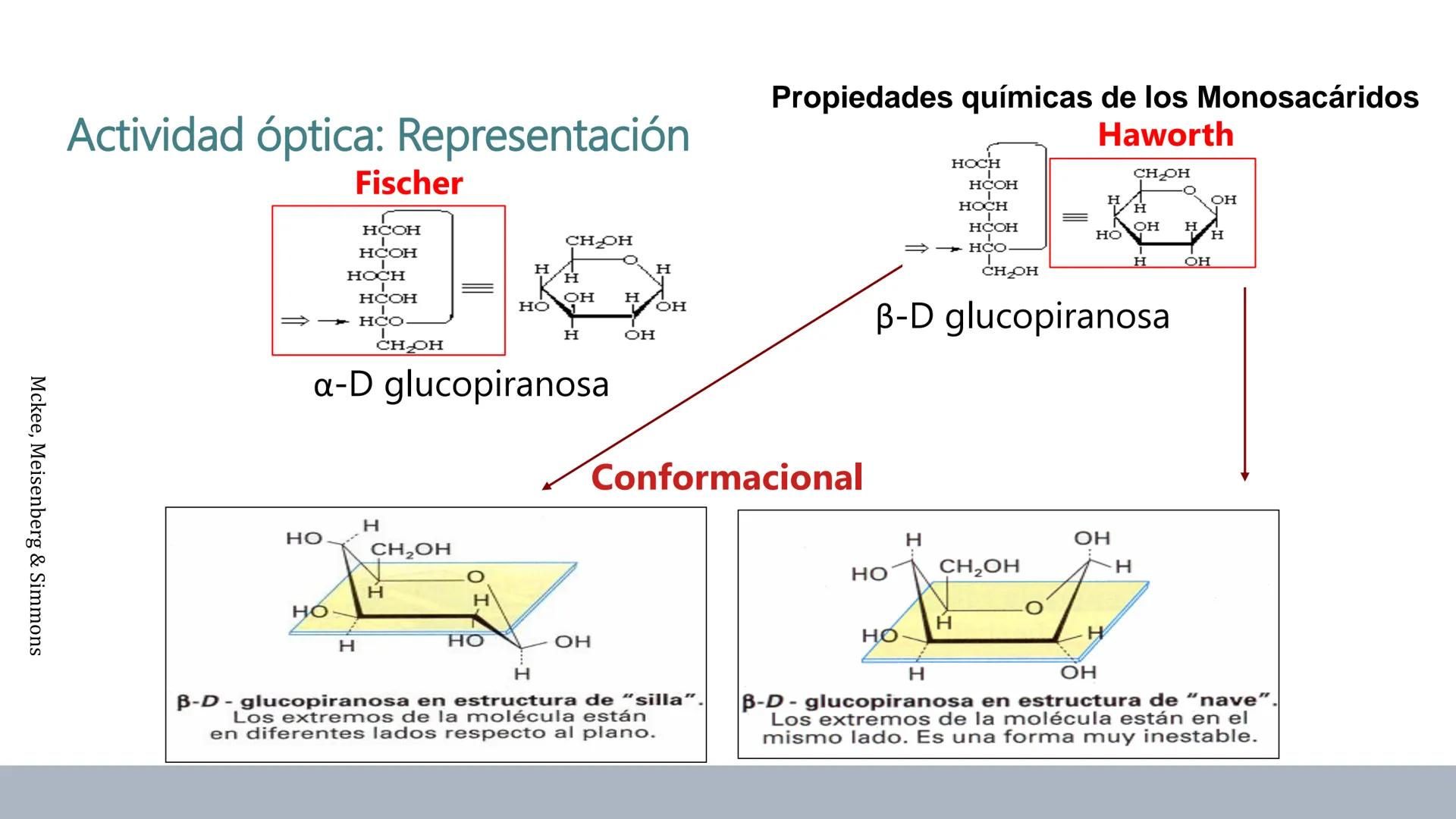 Carbohidratos
Estructura y Propiedades # Generalidades de los Carbohidratos
• Moléculas biológicas más abundantes en la naturaleza
• Form