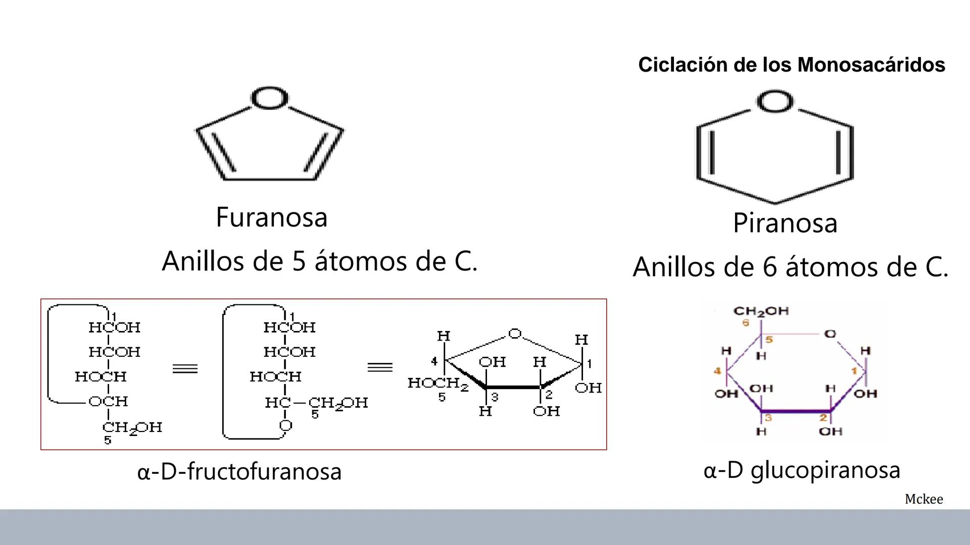 Carbohidratos
Estructura y Propiedades # Generalidades de los Carbohidratos
• Moléculas biológicas más abundantes en la naturaleza
• Form