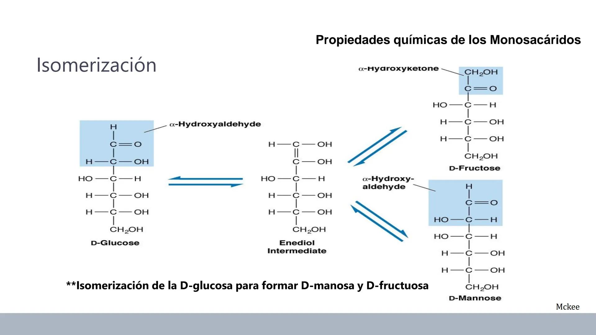 Carbohidratos
Estructura y Propiedades # Generalidades de los Carbohidratos
• Moléculas biológicas más abundantes en la naturaleza
• Form