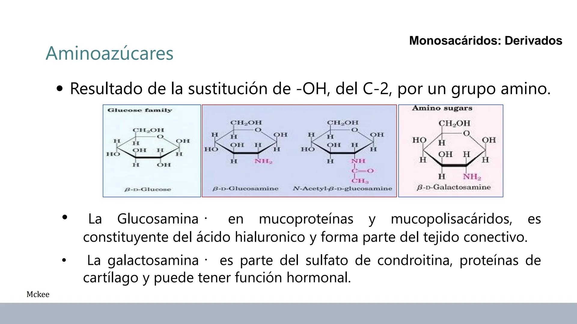 Carbohidratos
Estructura y Propiedades # Generalidades de los Carbohidratos
• Moléculas biológicas más abundantes en la naturaleza
• Form