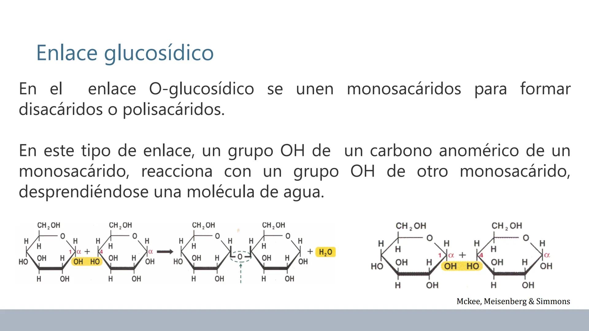 Carbohidratos
Estructura y Propiedades # Generalidades de los Carbohidratos
• Moléculas biológicas más abundantes en la naturaleza
• Form