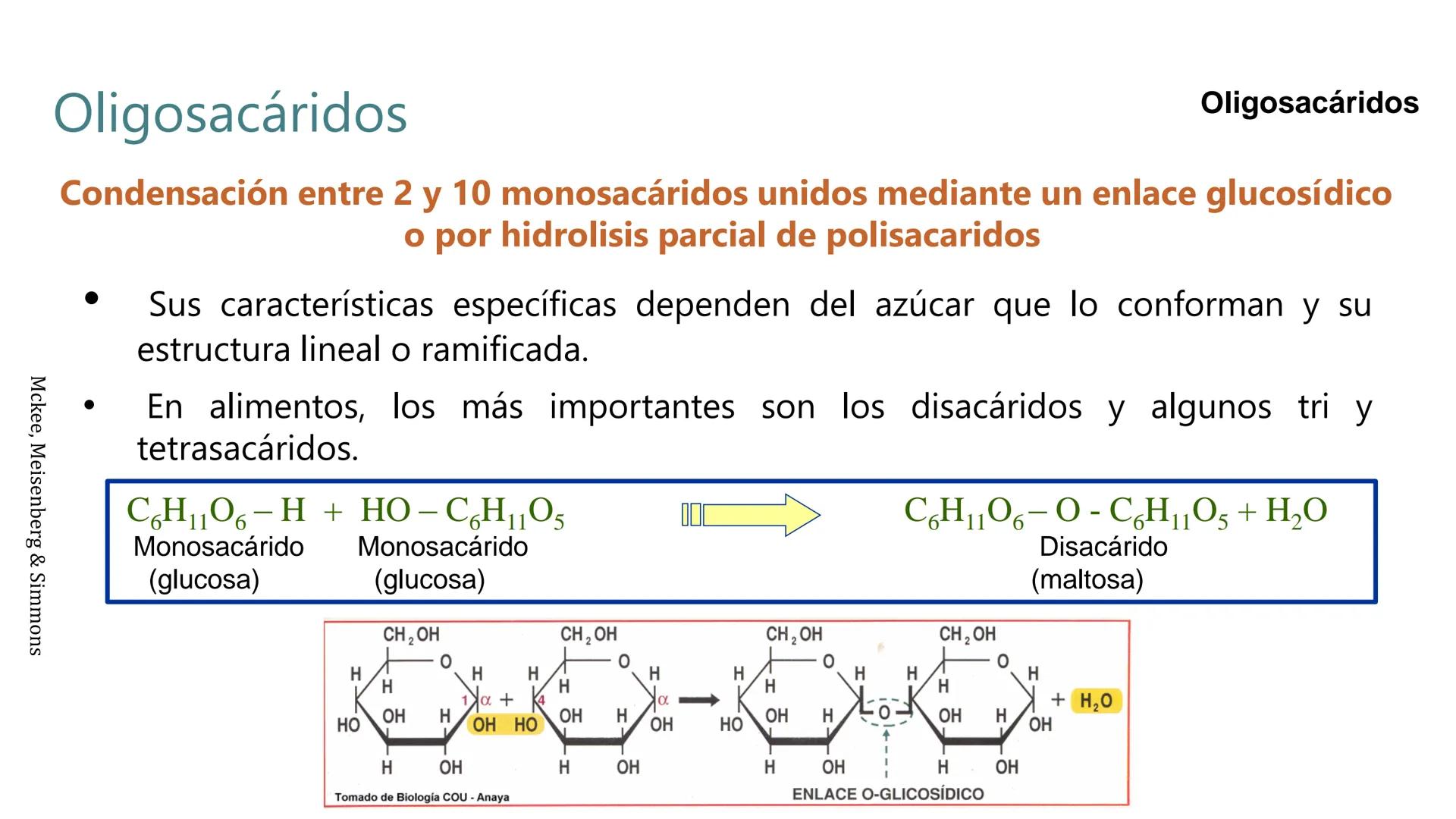 Carbohidratos
Estructura y Propiedades # Generalidades de los Carbohidratos
• Moléculas biológicas más abundantes en la naturaleza
• Form