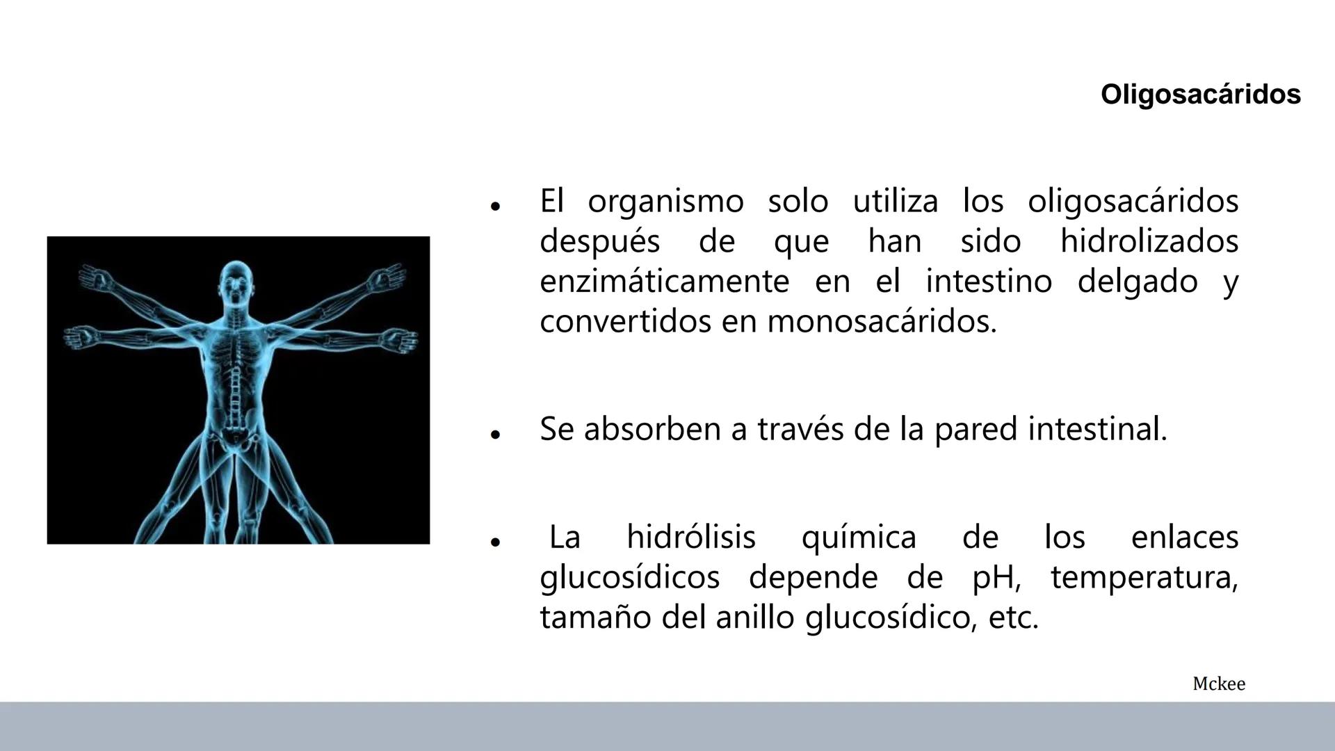 Carbohidratos
Estructura y Propiedades # Generalidades de los Carbohidratos
• Moléculas biológicas más abundantes en la naturaleza
• Form