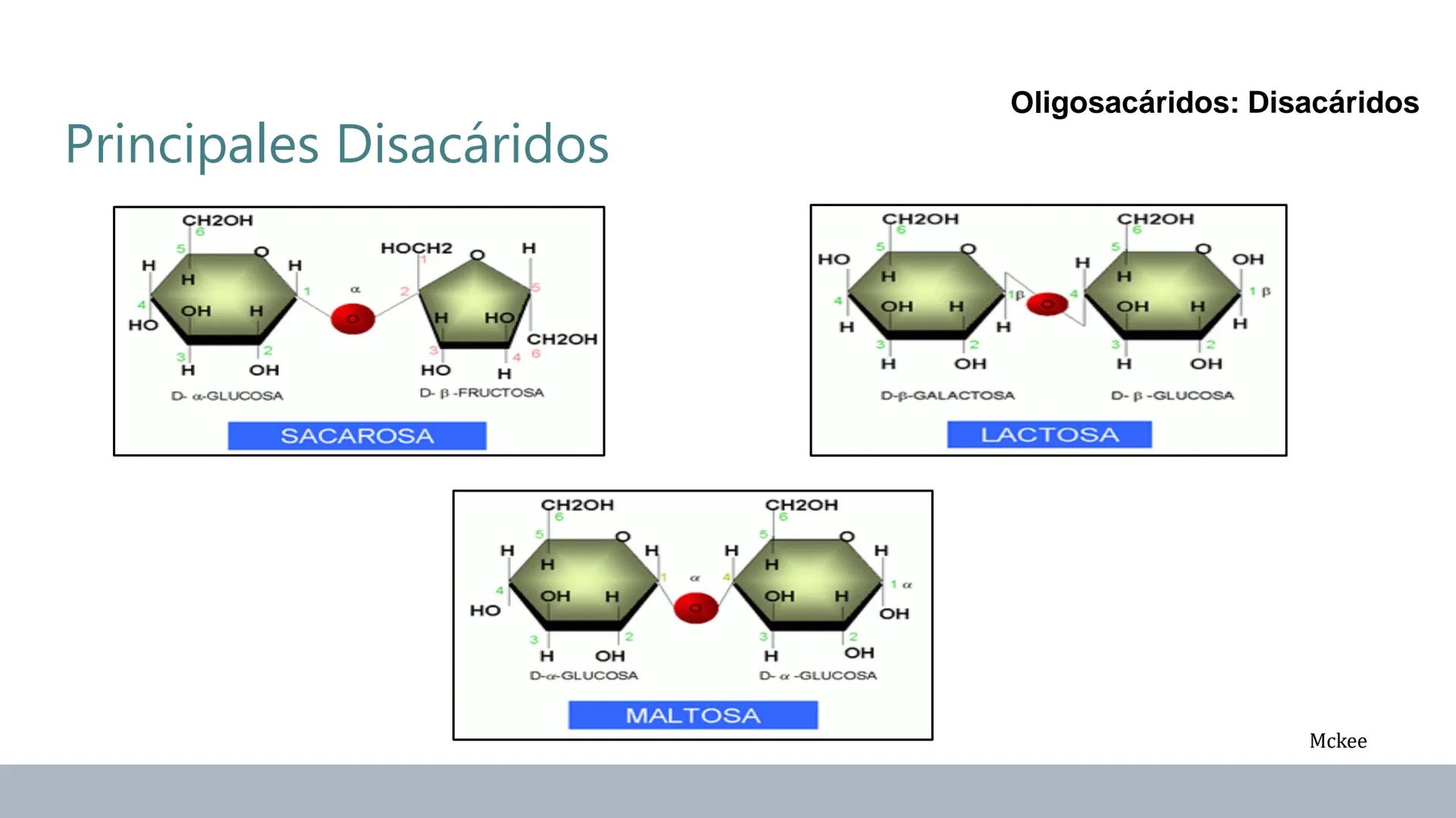 Carbohidratos
Estructura y Propiedades # Generalidades de los Carbohidratos
• Moléculas biológicas más abundantes en la naturaleza
• Form