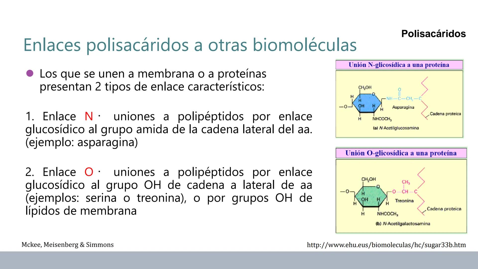 Carbohidratos
Estructura y Propiedades # Generalidades de los Carbohidratos
• Moléculas biológicas más abundantes en la naturaleza
• Form