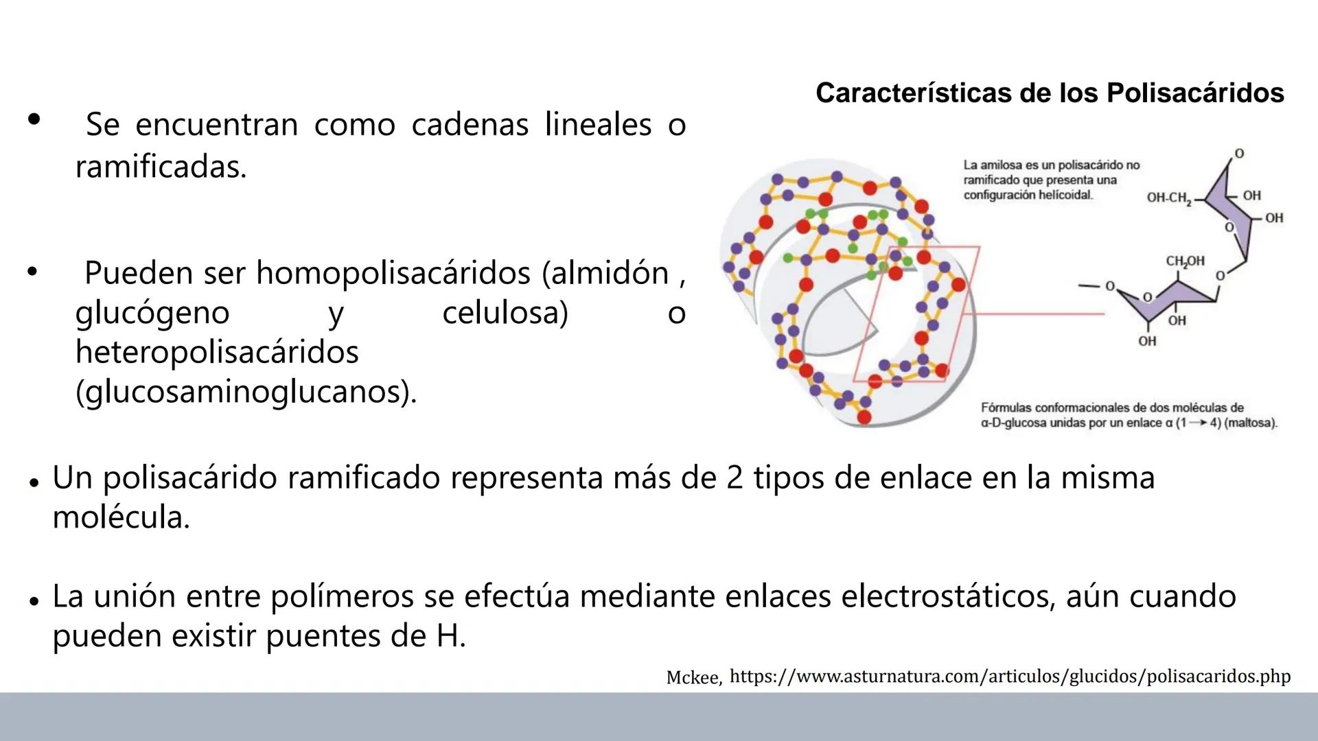 Carbohidratos
Estructura y Propiedades # Generalidades de los Carbohidratos
• Moléculas biológicas más abundantes en la naturaleza
• Form