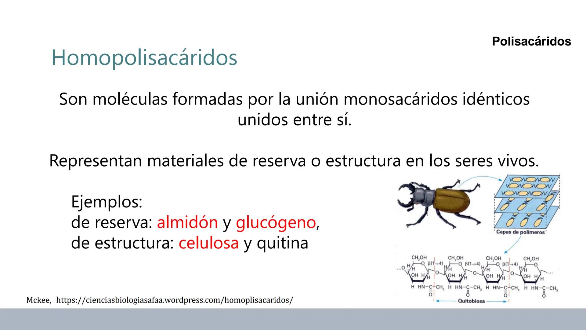 Carbohidratos
Estructura y Propiedades # Generalidades de los Carbohidratos
• Moléculas biológicas más abundantes en la naturaleza
• Form