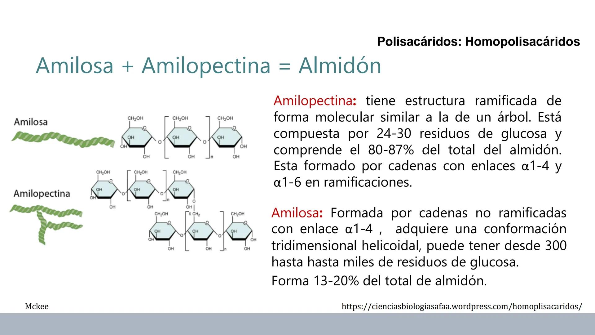Carbohidratos
Estructura y Propiedades # Generalidades de los Carbohidratos
• Moléculas biológicas más abundantes en la naturaleza
• Form