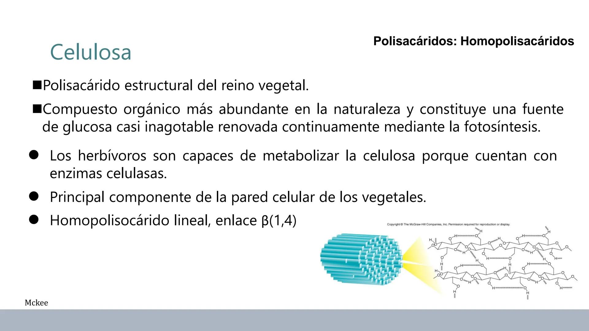 Carbohidratos
Estructura y Propiedades # Generalidades de los Carbohidratos
• Moléculas biológicas más abundantes en la naturaleza
• Form