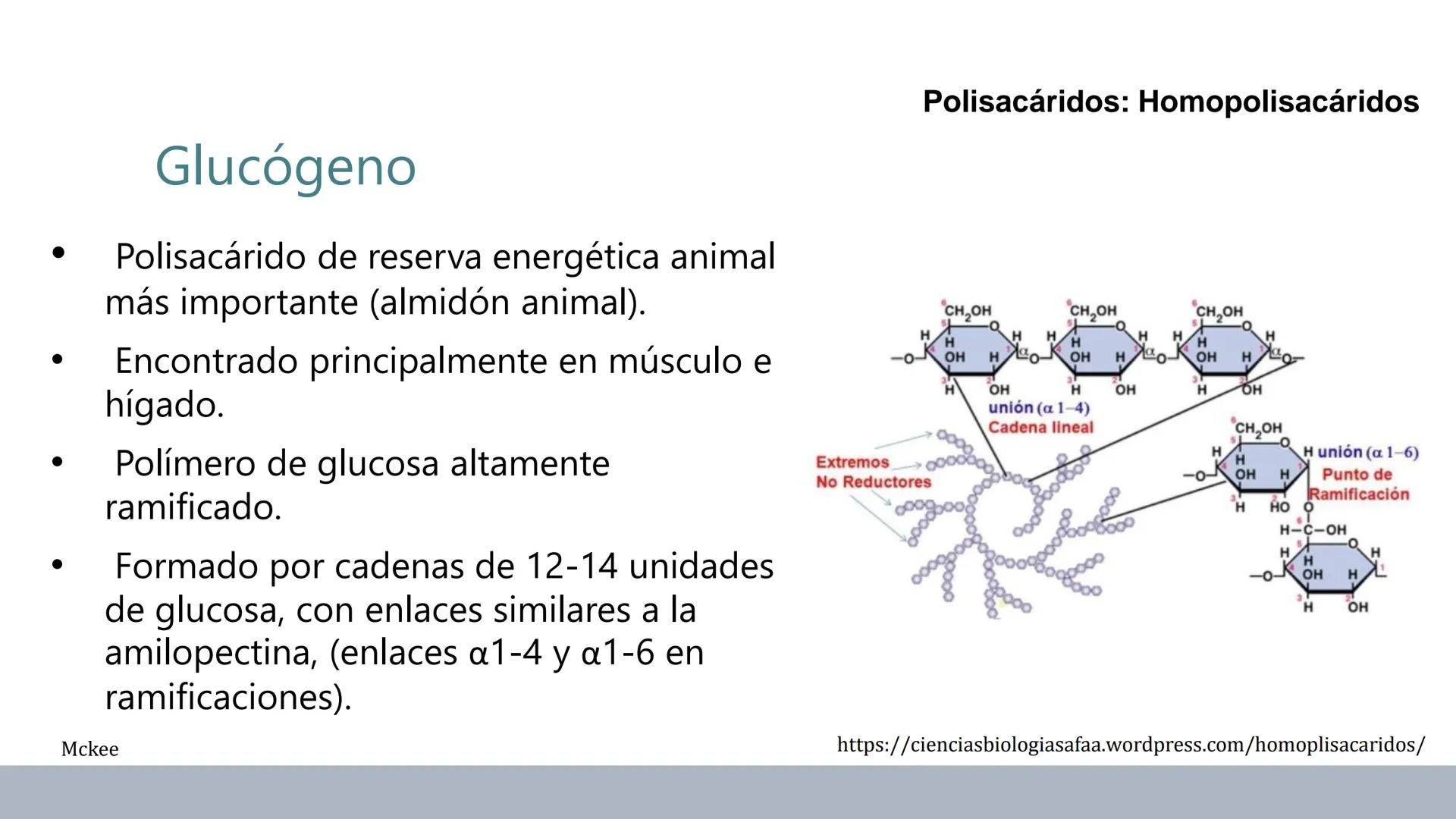 Carbohidratos
Estructura y Propiedades # Generalidades de los Carbohidratos
• Moléculas biológicas más abundantes en la naturaleza
• Form