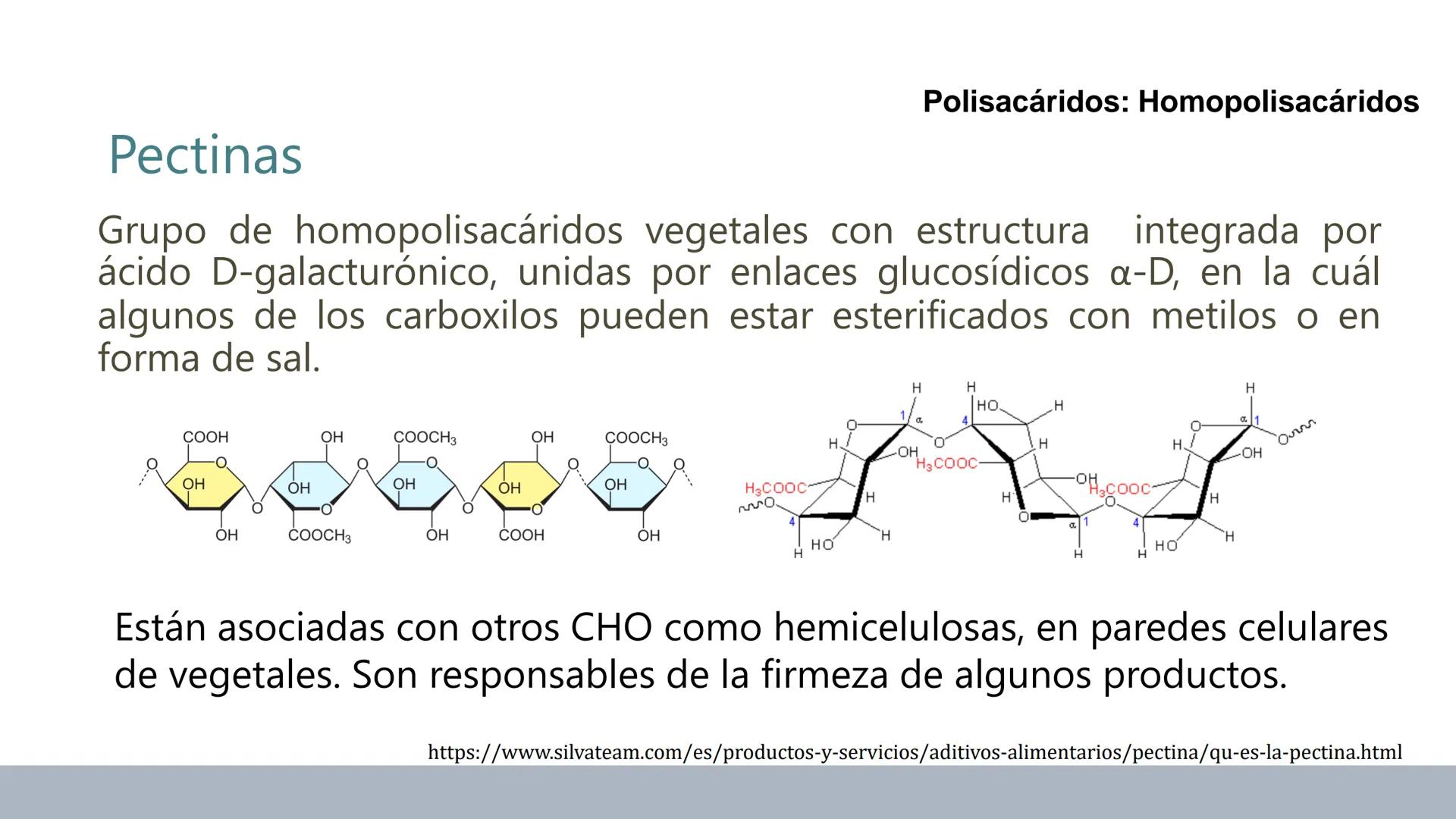 Carbohidratos
Estructura y Propiedades # Generalidades de los Carbohidratos
• Moléculas biológicas más abundantes en la naturaleza
• Form
