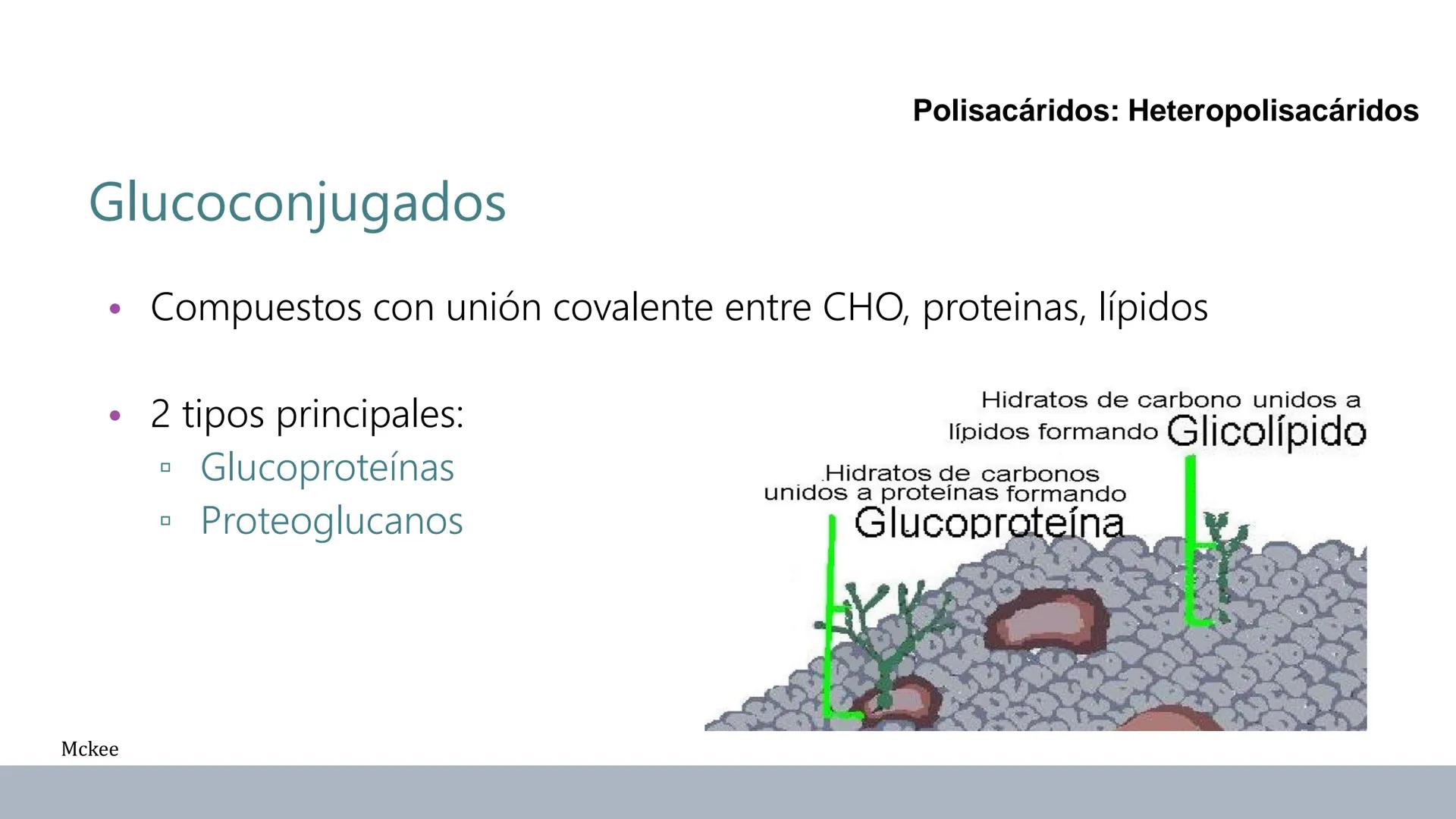 Carbohidratos
Estructura y Propiedades # Generalidades de los Carbohidratos
• Moléculas biológicas más abundantes en la naturaleza
• Form