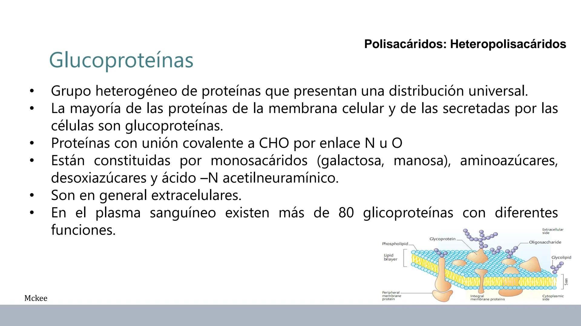 Carbohidratos
Estructura y Propiedades # Generalidades de los Carbohidratos
• Moléculas biológicas más abundantes en la naturaleza
• Form