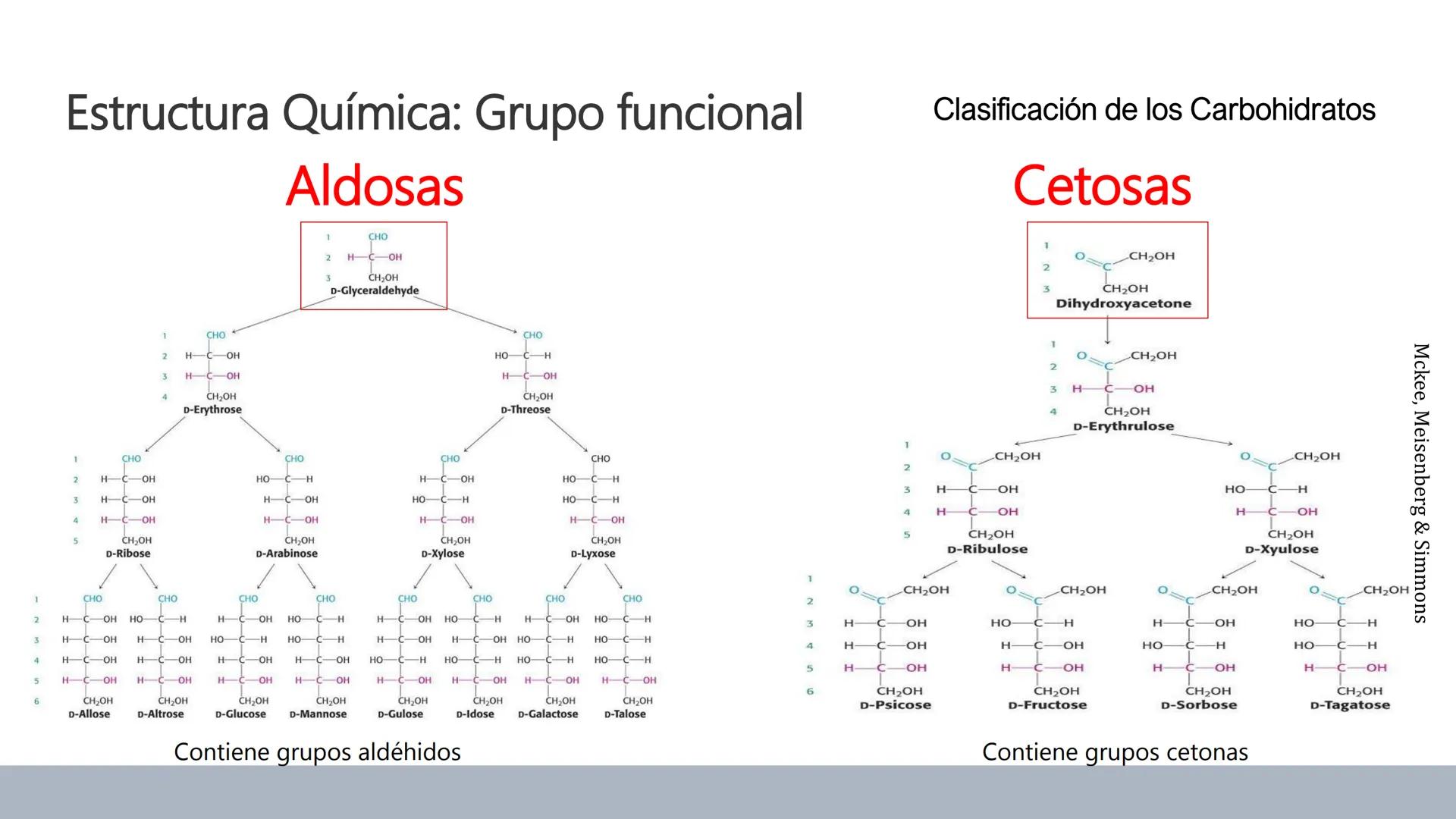 Carbohidratos
Estructura y Propiedades # Generalidades de los Carbohidratos
• Moléculas biológicas más abundantes en la naturaleza
• Form