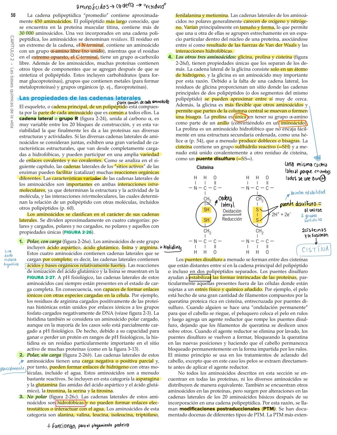 48
Fosfato
CH
CAPÍTULO 2 Las bases químicas de la vida
HC-N-CH2-CH-O-P-O-CH₂
FHO
Colina
HC-O-C-C-C-
HH
HC-O-C-C-
H
Grupo de Columna central