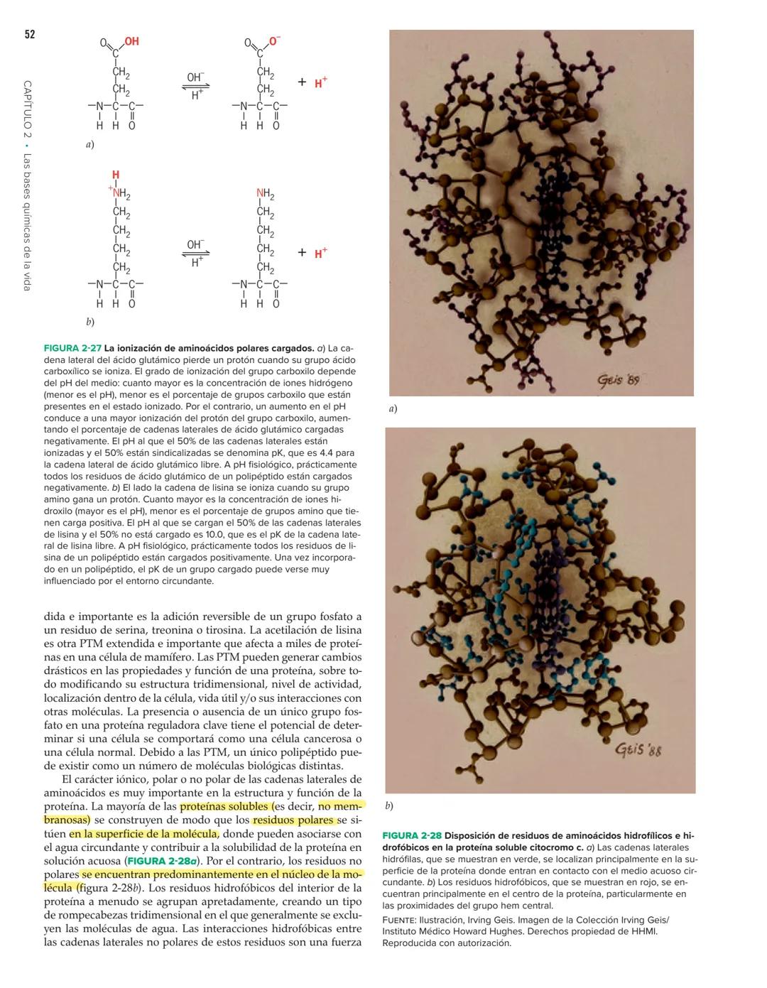 48
Fosfato
CH
CAPÍTULO 2 Las bases químicas de la vida
HC-N-CH2-CH-O-P-O-CH₂
FHO
Colina
HC-O-C-C-C-
HH
HC-O-C-C-
H
Grupo de Columna central