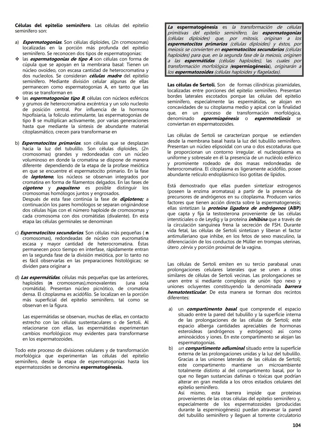 FACULTAD DE MEDICINA
Notas de
Histología
DEPARTAMENTO
RIOLOGIA
EDITORES
Dr. Miguel A. Lecuona Rodríguez
Dra. Alejandra Guerrero Álvarez
