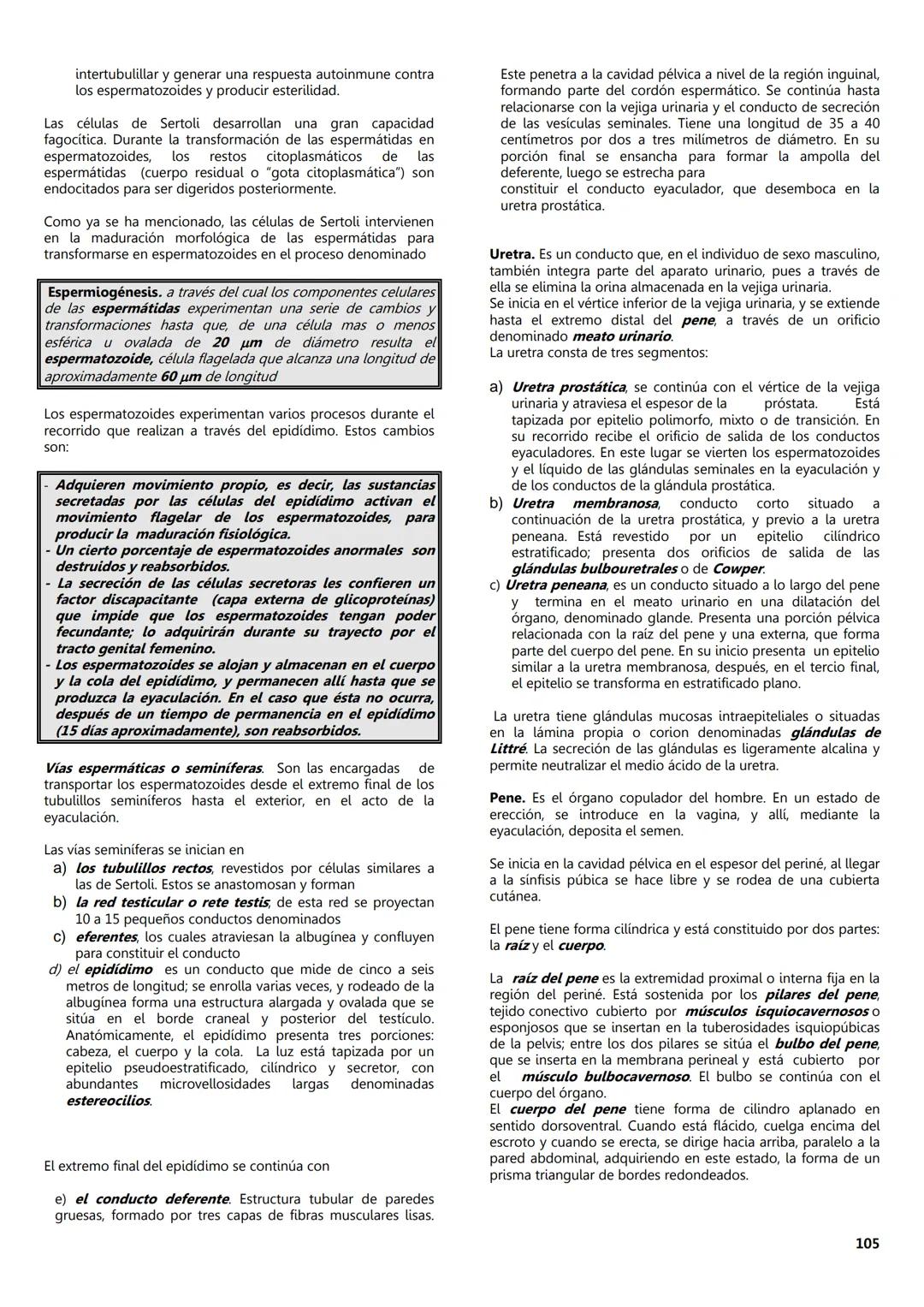 FACULTAD DE MEDICINA
Notas de
Histología
DEPARTAMENTO
RIOLOGIA
EDITORES
Dr. Miguel A. Lecuona Rodríguez
Dra. Alejandra Guerrero Álvarez
