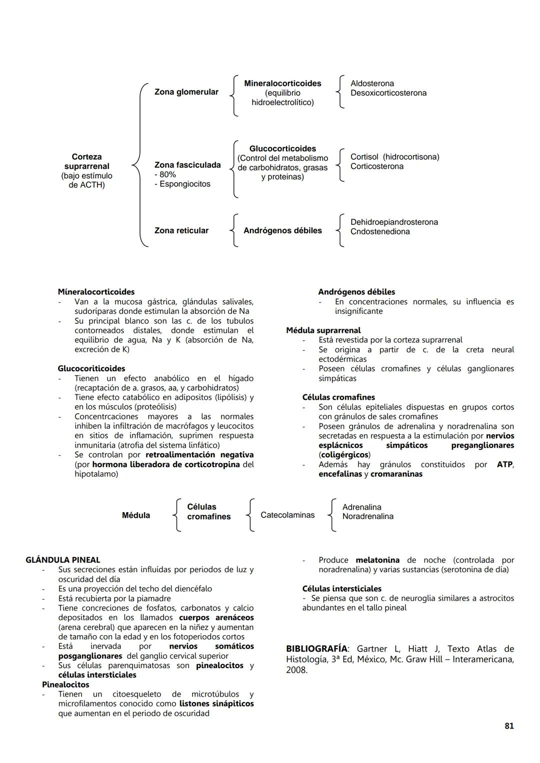 FACULTAD DE MEDICINA
Notas de
Histología
DEPARTAMENTO
RIOLOGIA
EDITORES
Dr. Miguel A. Lecuona Rodríguez
Dra. Alejandra Guerrero Álvarez