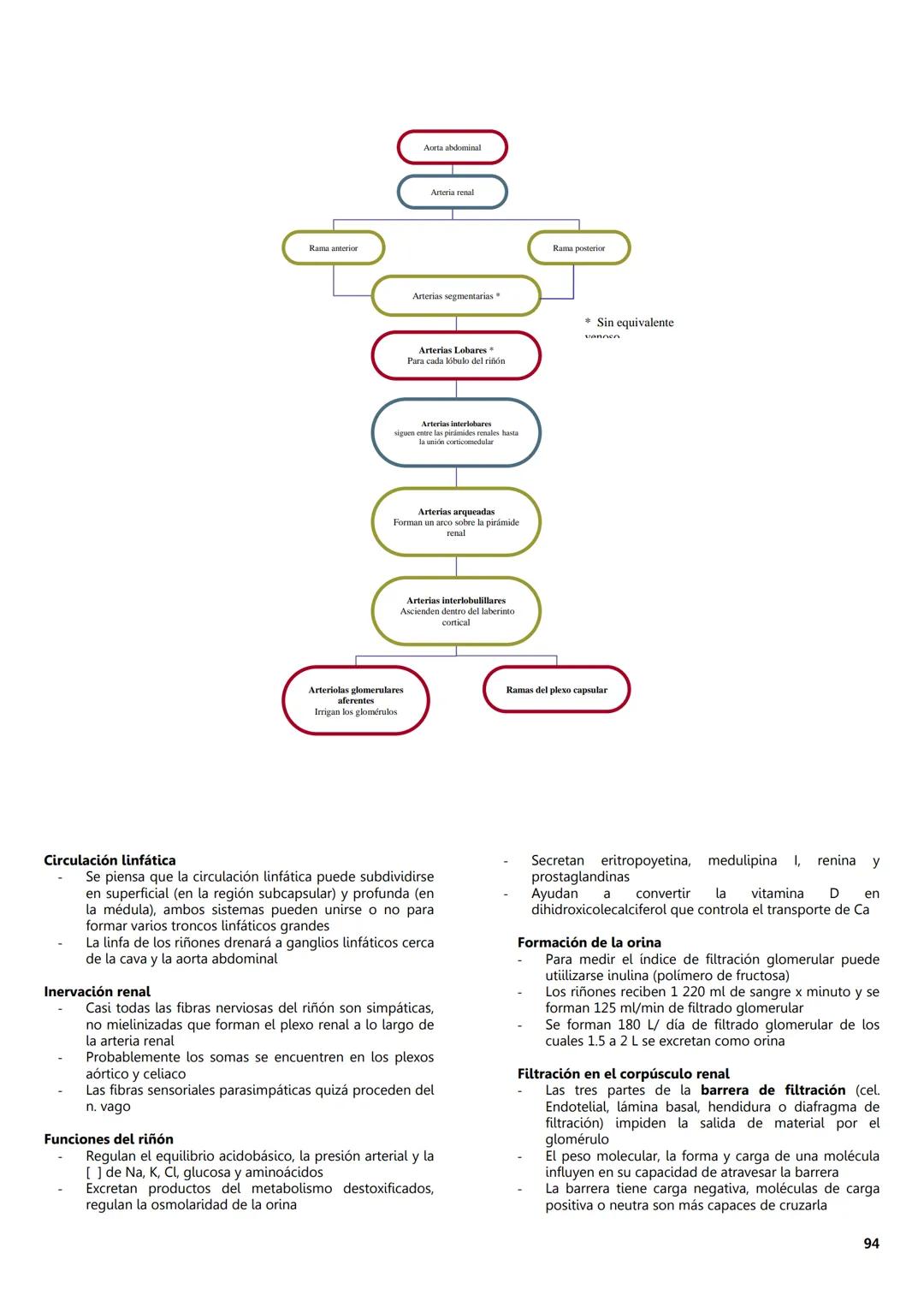 FACULTAD DE MEDICINA
Notas de
Histología
DEPARTAMENTO
RIOLOGIA
EDITORES
Dr. Miguel A. Lecuona Rodríguez
Dra. Alejandra Guerrero Álvarez