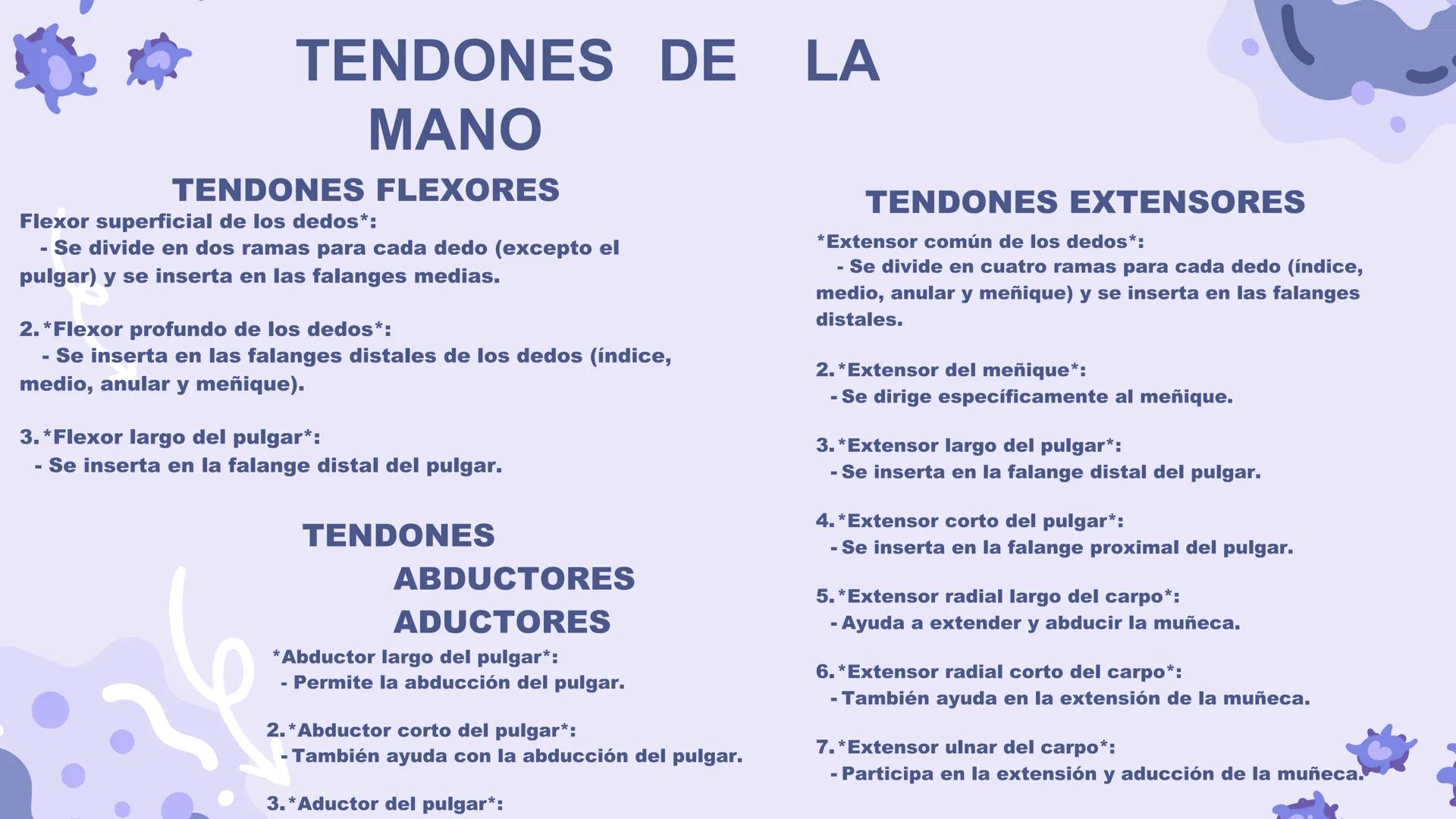 # ΑΝΑΤΟΜΙΑ
# TOPOGRAFICA DE LA
# EXTREMIDAD SUPERIOR
UNIVERSIDAD DE GUADALAJARA
CENTRO UNIVERSITARIO DE LOS VALLES
DEPARTAMENTO DE CIEN