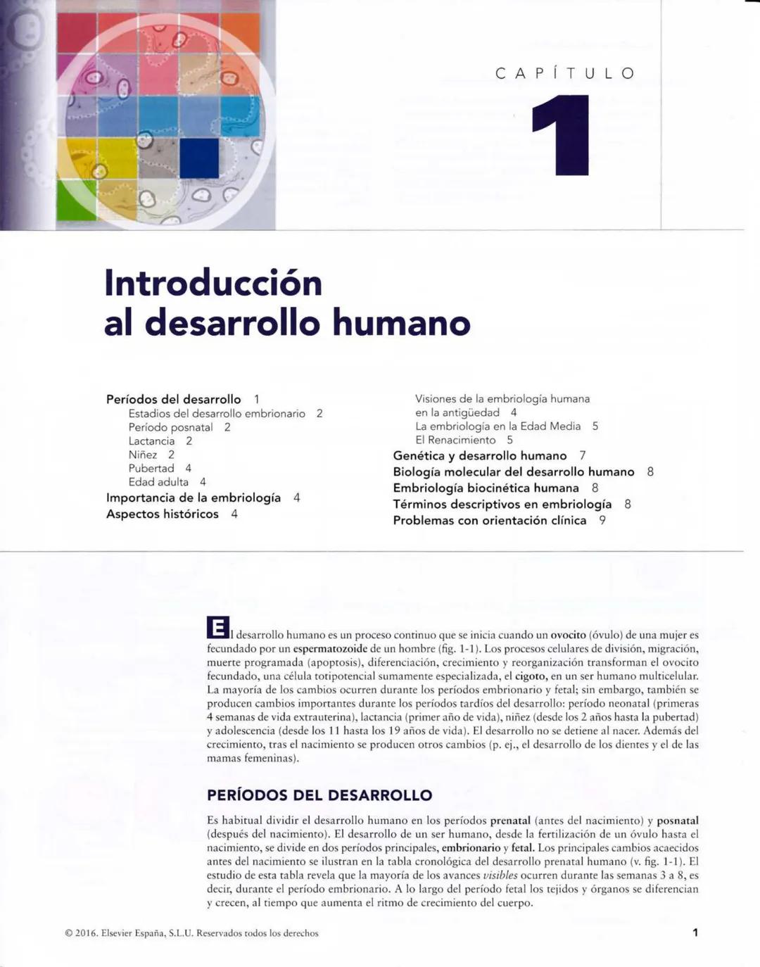 # Introducción
al desarrollo humano
CAPÍTULO
# 1
Períodos del desarrollo 1
Estadios del desarrollo embrionario 2
Período posnatal 2
Lactan
