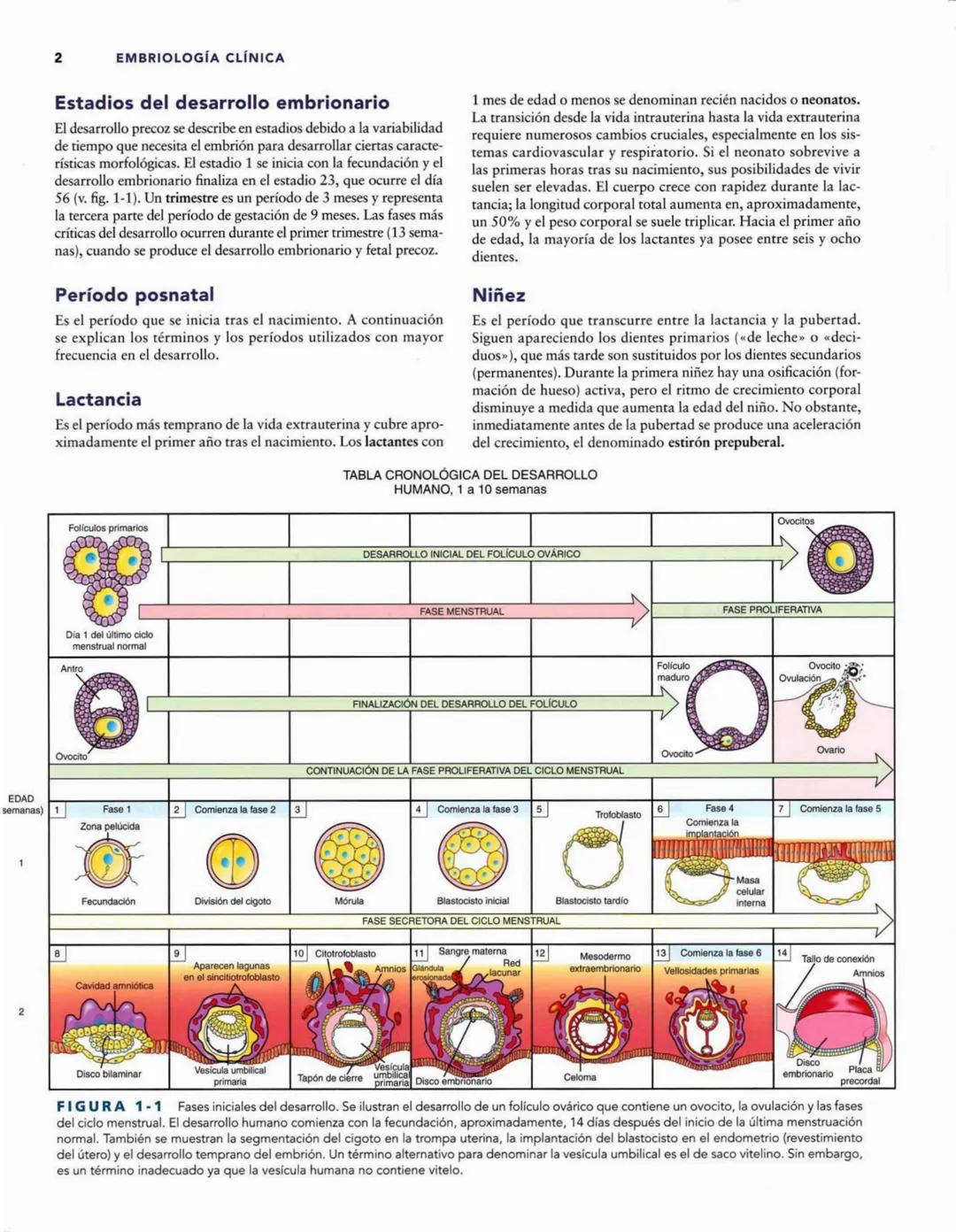 # Introducción
al desarrollo humano
CAPÍTULO
# 1
Períodos del desarrollo 1
Estadios del desarrollo embrionario 2
Período posnatal 2
Lactan