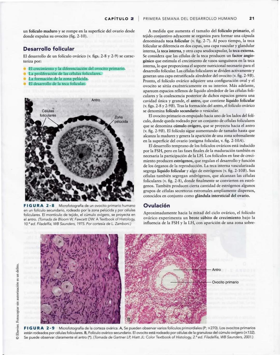 # Introducción
al desarrollo humano
CAPÍTULO
# 1
Períodos del desarrollo 1
Estadios del desarrollo embrionario 2
Período posnatal 2
Lactan