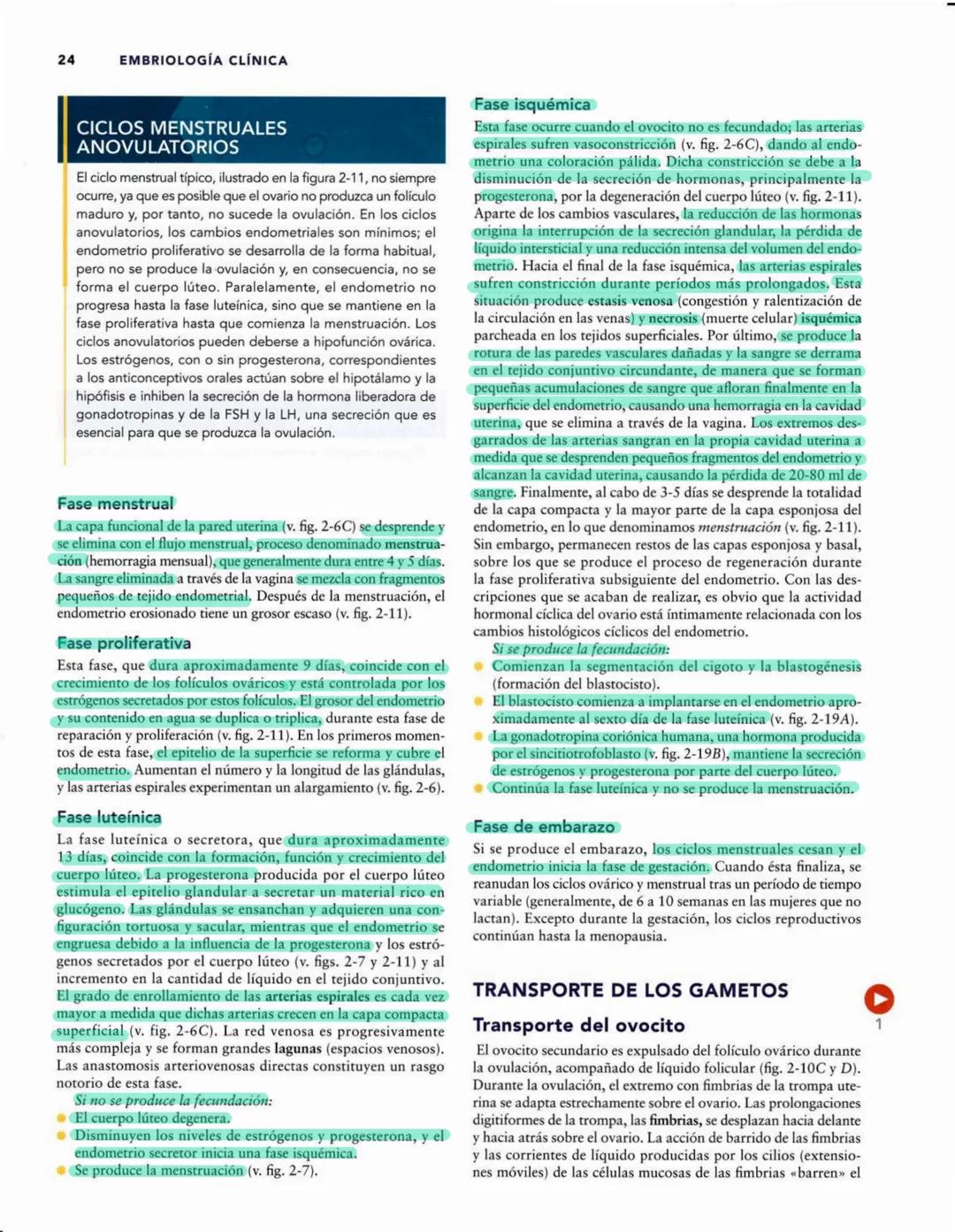 # Introducción
al desarrollo humano
CAPÍTULO
# 1
Períodos del desarrollo 1
Estadios del desarrollo embrionario 2
Período posnatal 2
Lactan