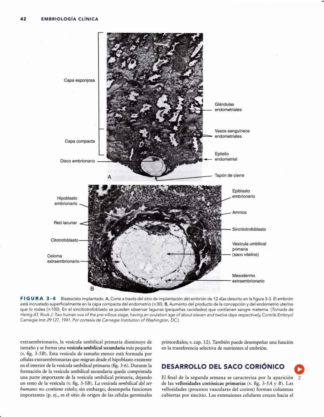# Introducción
al desarrollo humano
CAPÍTULO
# 1
Períodos del desarrollo 1
Estadios del desarrollo embrionario 2
Período posnatal 2
Lactan