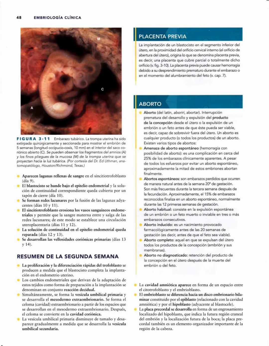 # Introducción
al desarrollo humano
CAPÍTULO
# 1
Períodos del desarrollo 1
Estadios del desarrollo embrionario 2
Período posnatal 2
Lactan