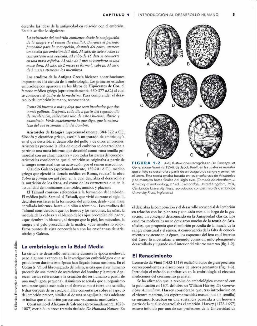 # Introducción
al desarrollo humano
CAPÍTULO
# 1
Períodos del desarrollo 1
Estadios del desarrollo embrionario 2
Período posnatal 2
Lactan