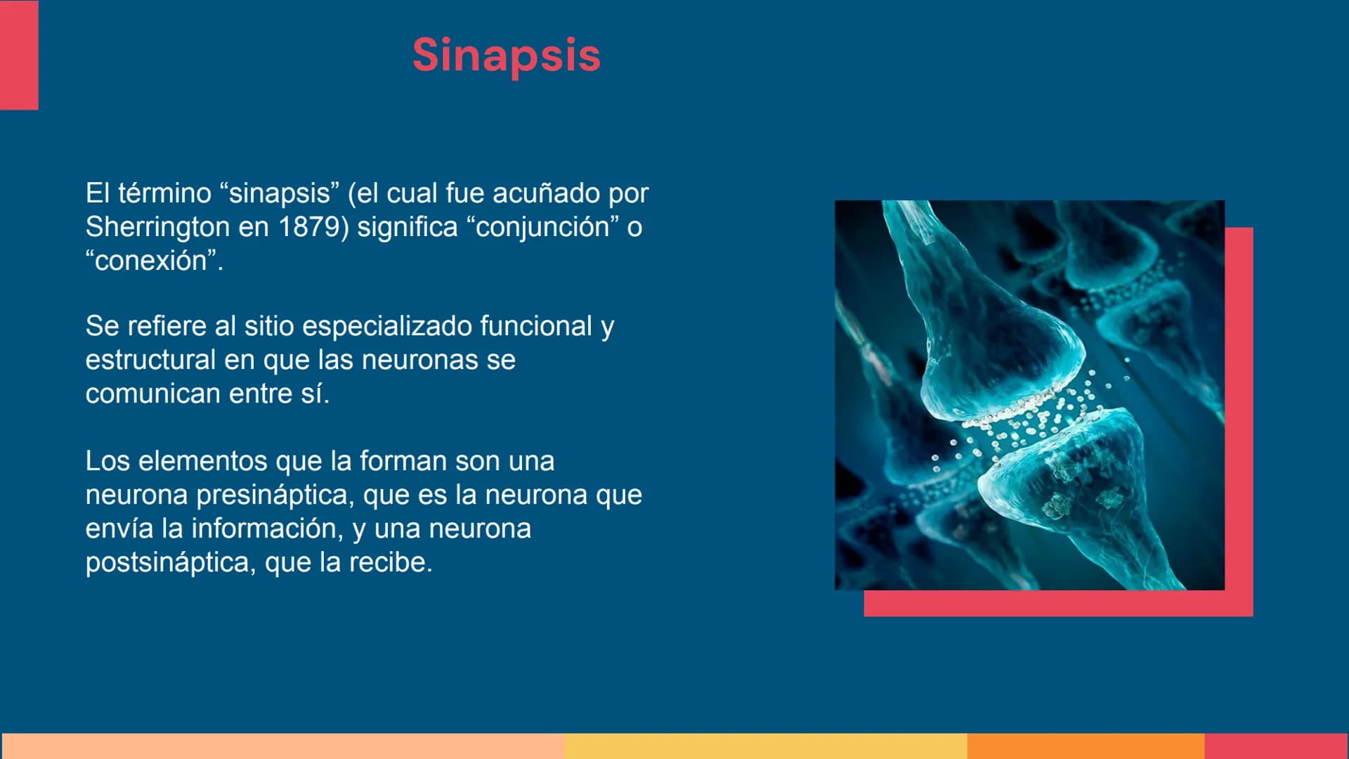 Sistema Nervioso
LFT. Oscar Alejandro Hadar Reos # Neuronas
* Unidad estructural, trófica y
funcional del tejido nervioso.
* Célula e