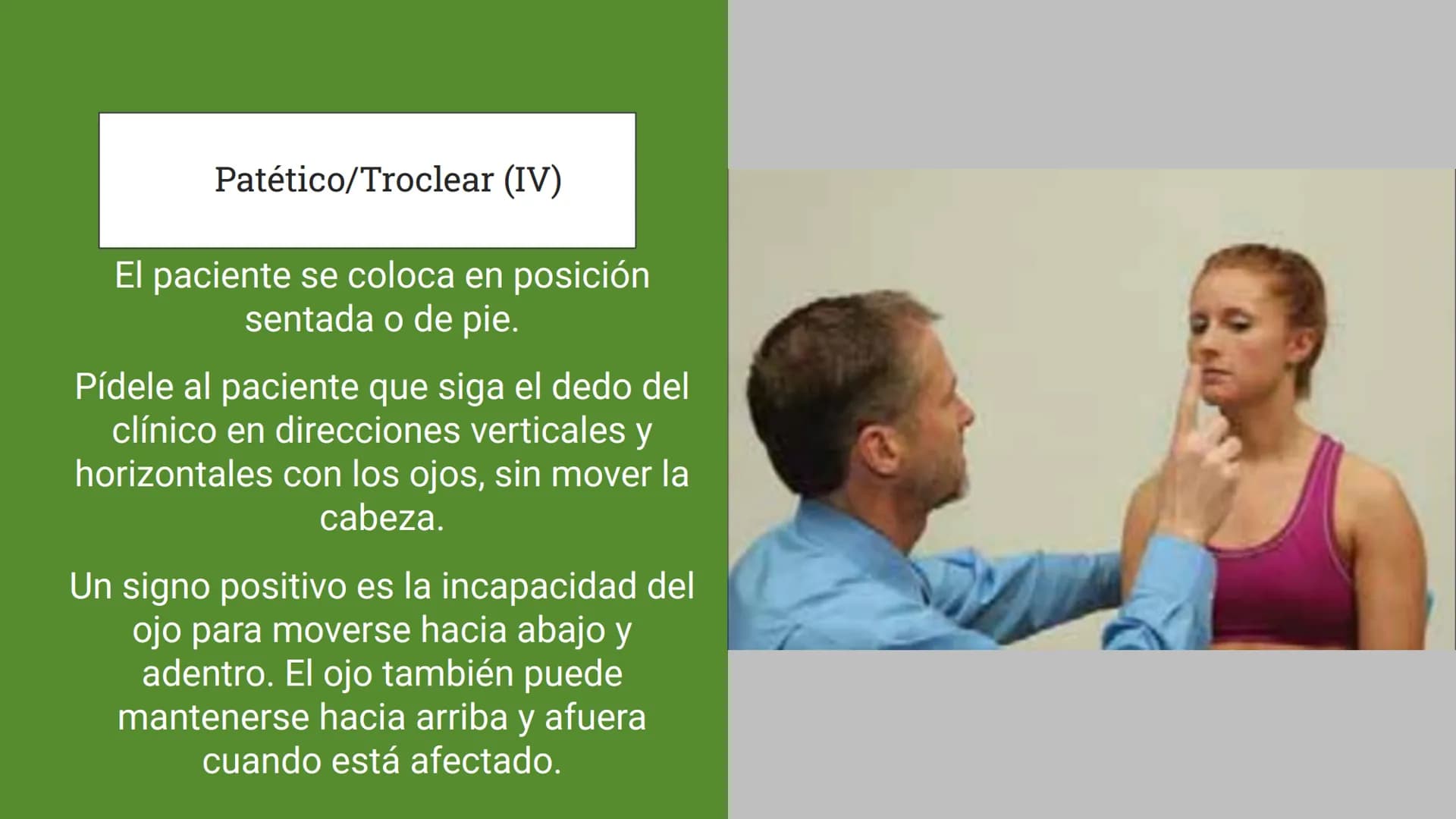 Sistema Nervioso
LFT. Oscar Alejandro Hadar Reos # Neuronas
* Unidad estructural, trófica y
funcional del tejido nervioso.
* Célula e
