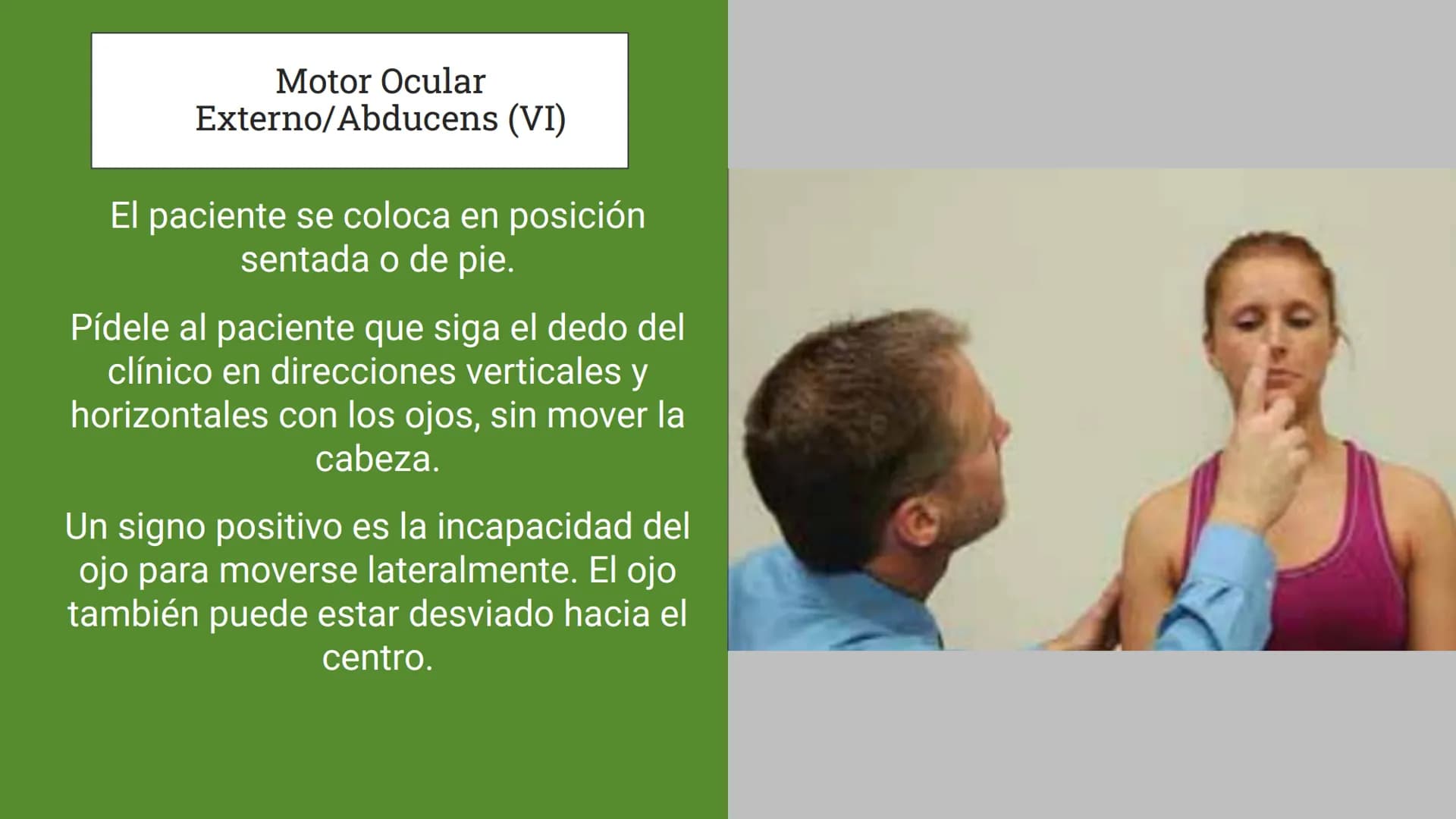 Sistema Nervioso
LFT. Oscar Alejandro Hadar Reos # Neuronas
* Unidad estructural, trófica y
funcional del tejido nervioso.
* Célula e