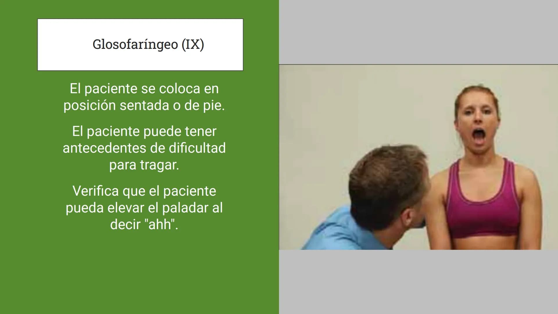 Sistema Nervioso
LFT. Oscar Alejandro Hadar Reos # Neuronas
* Unidad estructural, trófica y
funcional del tejido nervioso.
* Célula e