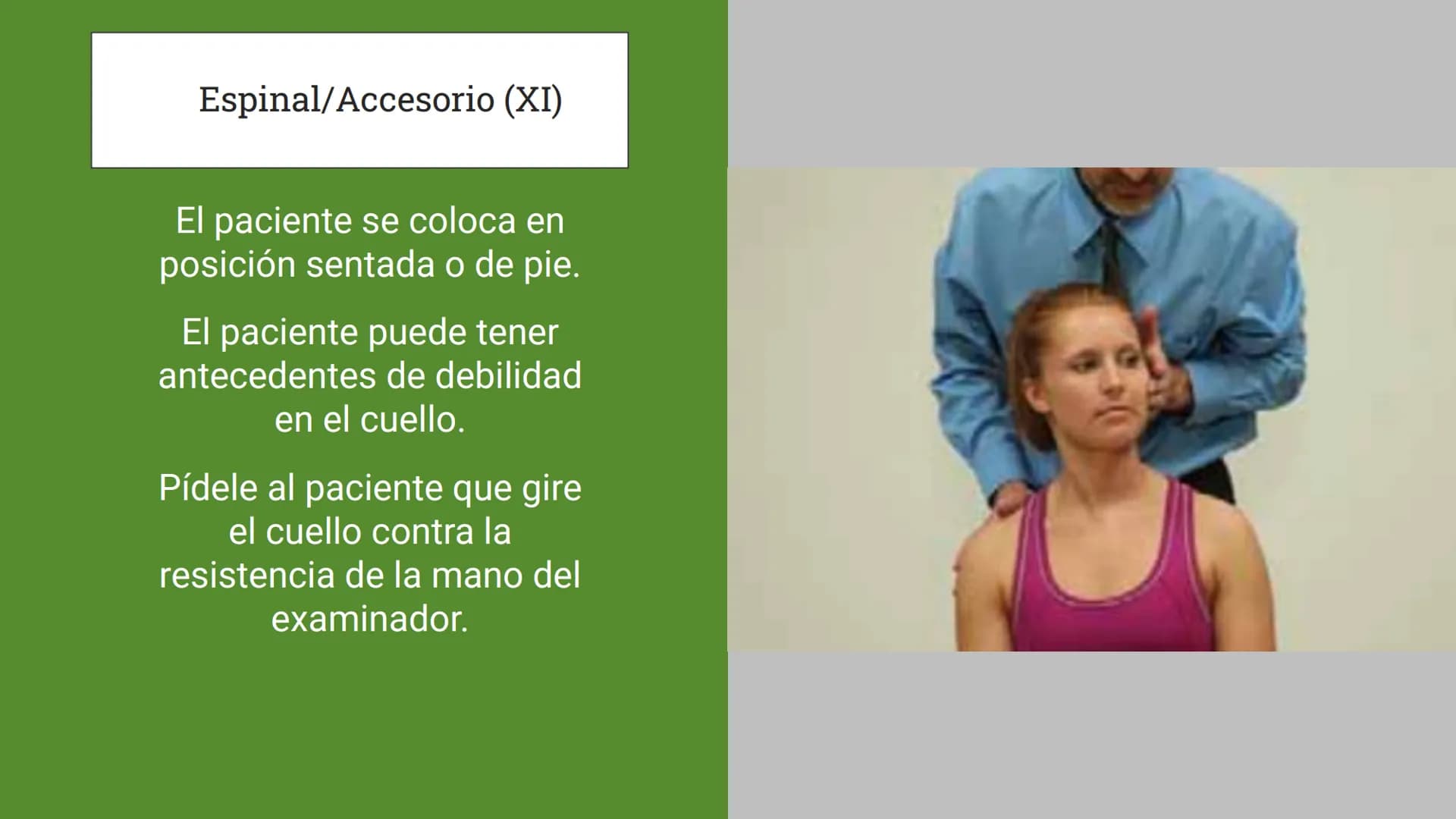 Sistema Nervioso
LFT. Oscar Alejandro Hadar Reos # Neuronas
* Unidad estructural, trófica y
funcional del tejido nervioso.
* Célula e
