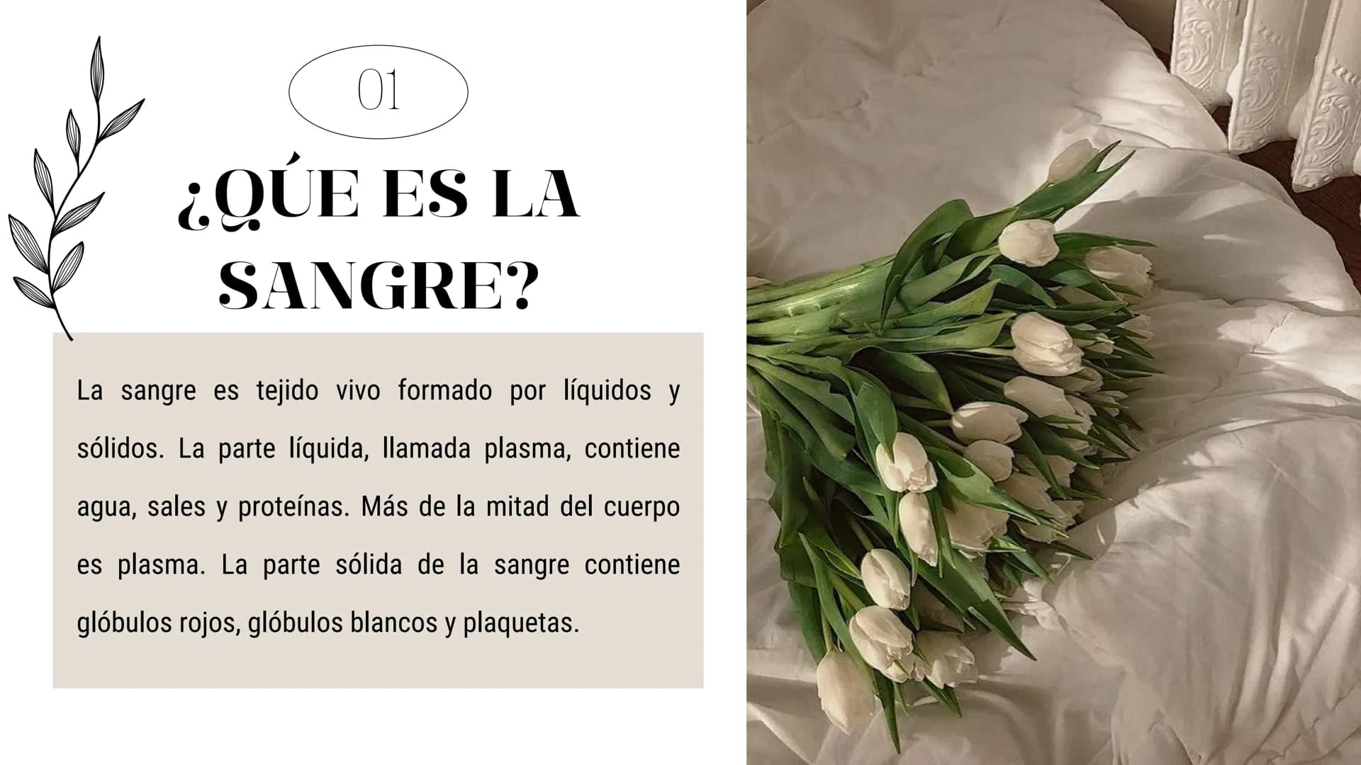 # Introducción
En esta presentación se abarcarán los temas relacionados desde el origen de la sangre, grupos sanguíneos y enfermedades que