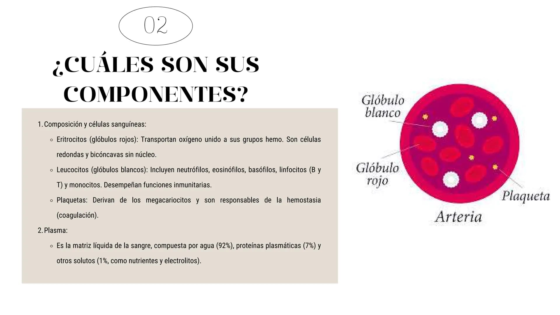 # Introducción
En esta presentación se abarcarán los temas relacionados desde el origen de la sangre, grupos sanguíneos y enfermedades que