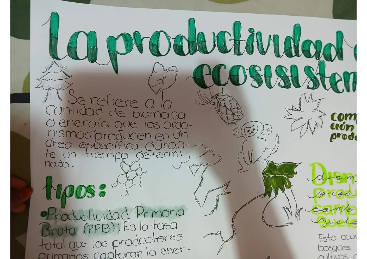 # La productividad de un ecosistema
Se refiere a la Cantidad de biomasa o energía que los organismos producen en un área específica durante