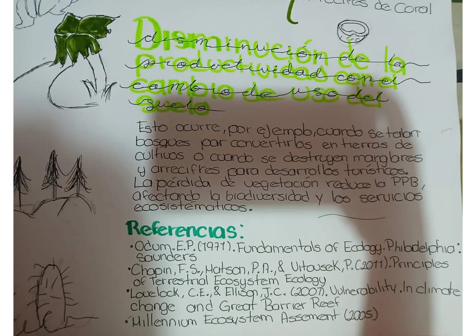 # La productividad de un ecosistema
Se refiere a la Cantidad de biomasa o energía que los organismos producen en un área específica durante