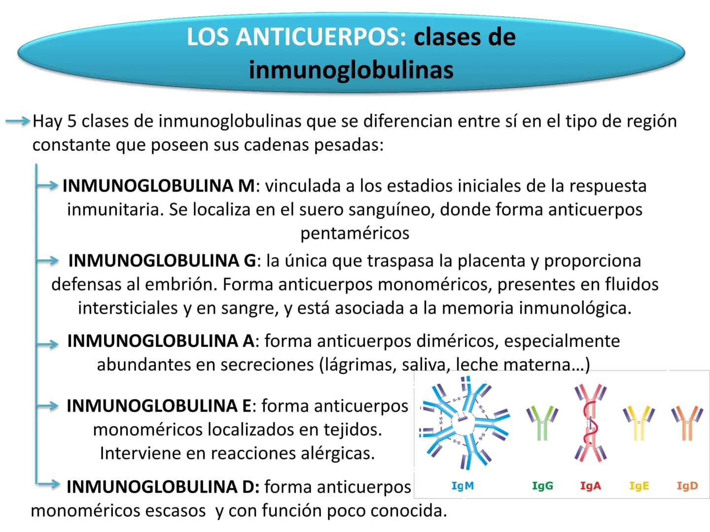 # Qué vamos a estudiar...
## 1. EL SISTEMA INMUNE
### 1.1. La inmunidad y la respuesta inmune
## 2. EL SISTEMA INMUNITARIO INNATO
### 2.1. R