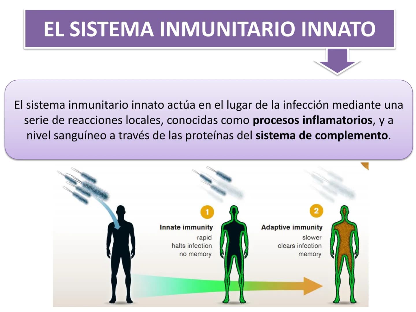 # Qué vamos a estudiar...
## 1. EL SISTEMA INMUNE
### 1.1. La inmunidad y la respuesta inmune
## 2. EL SISTEMA INMUNITARIO INNATO
### 2.1. R