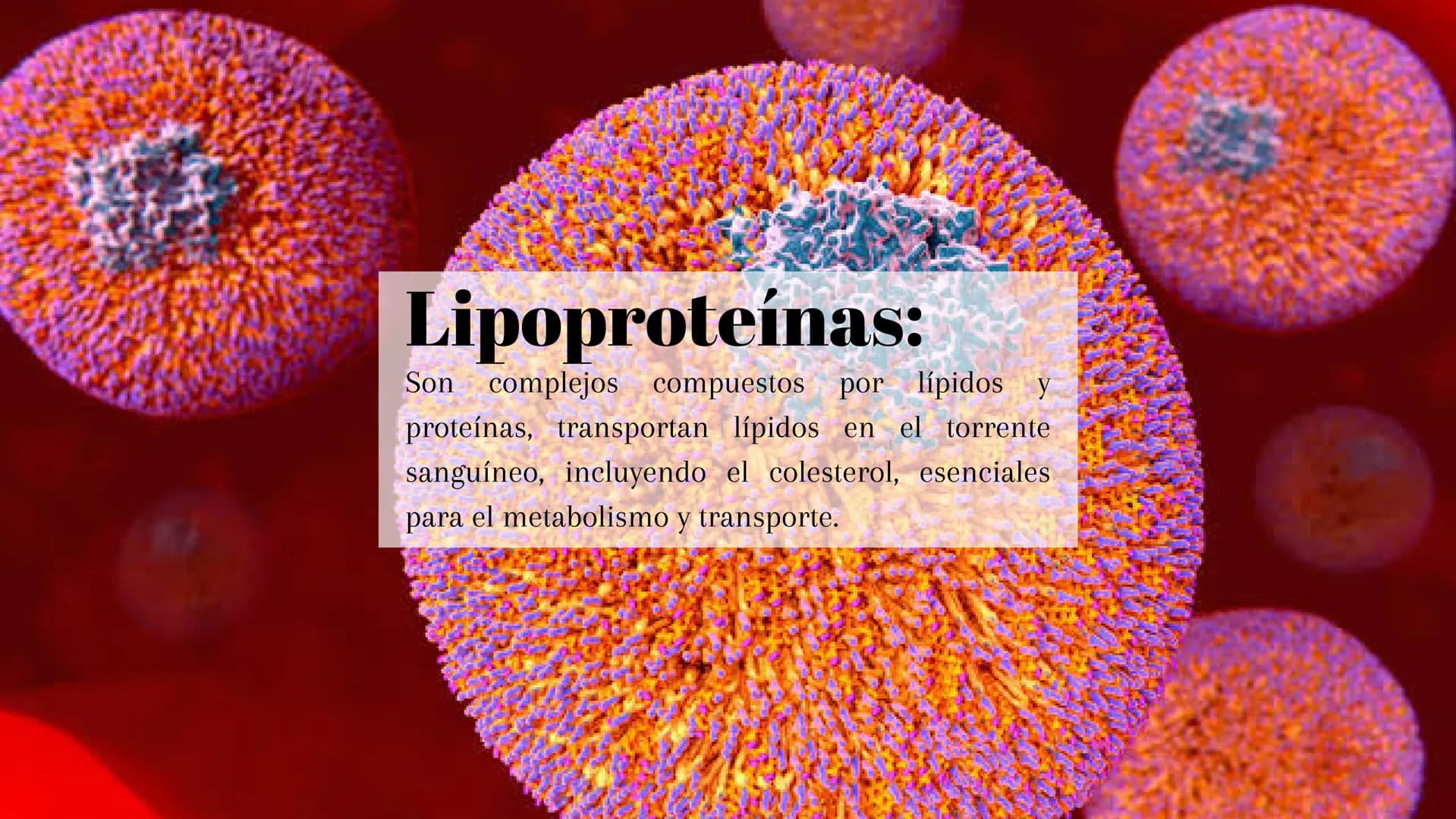 ¿Qué son?:
Los lípidos son moléculas orgánicas que incluyen
grasas, aceites y fosfolípidos, esenciales para
almacenar energía. # Tipos:
Hay