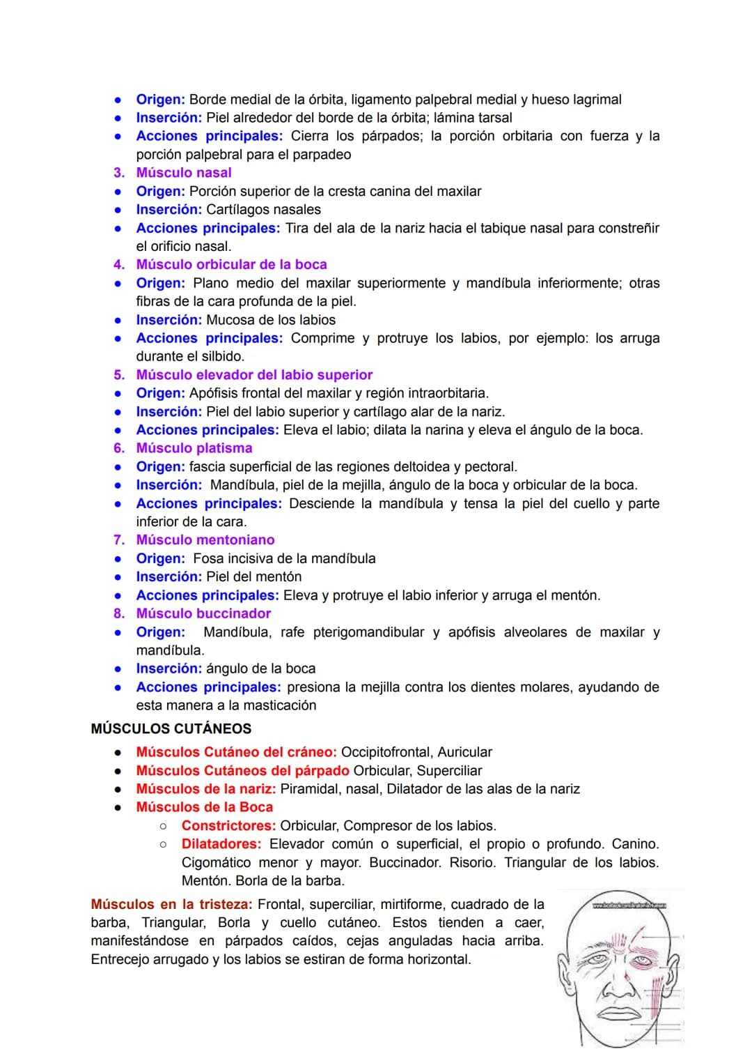 # Músculo esquelético (67)
La fuerza de una persona, hace que la energía física se convierta en mecánica.
Miología: Ciencia que estudia los